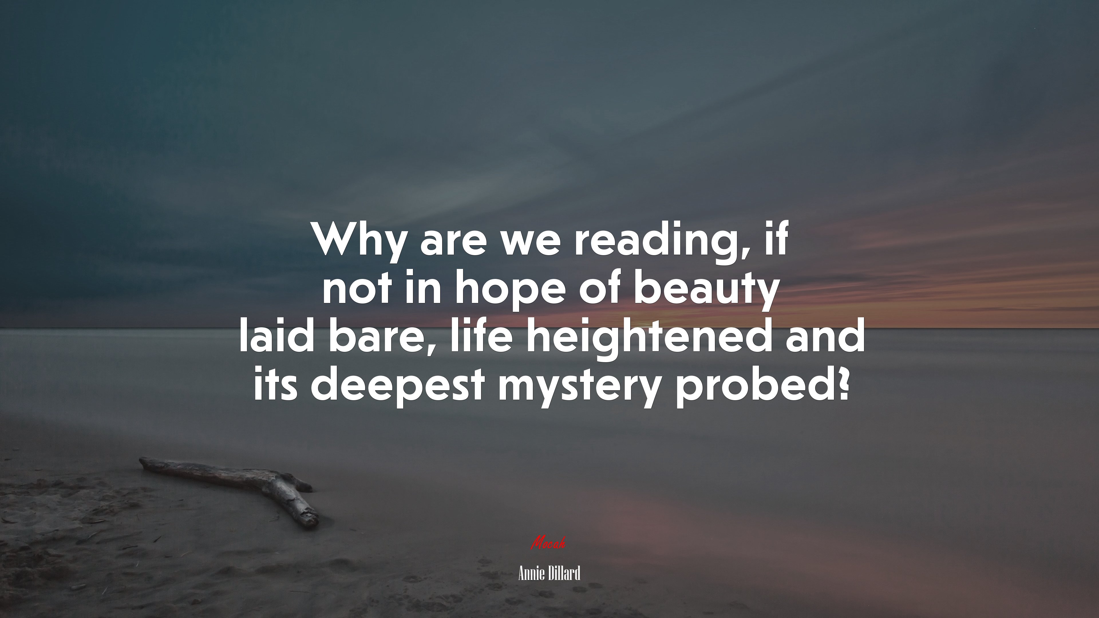 Why are we reading, if not in hope of beauty laid bare, life heightened and its deepest mystery probed? | Annie Dillard quote HD Wallpaper