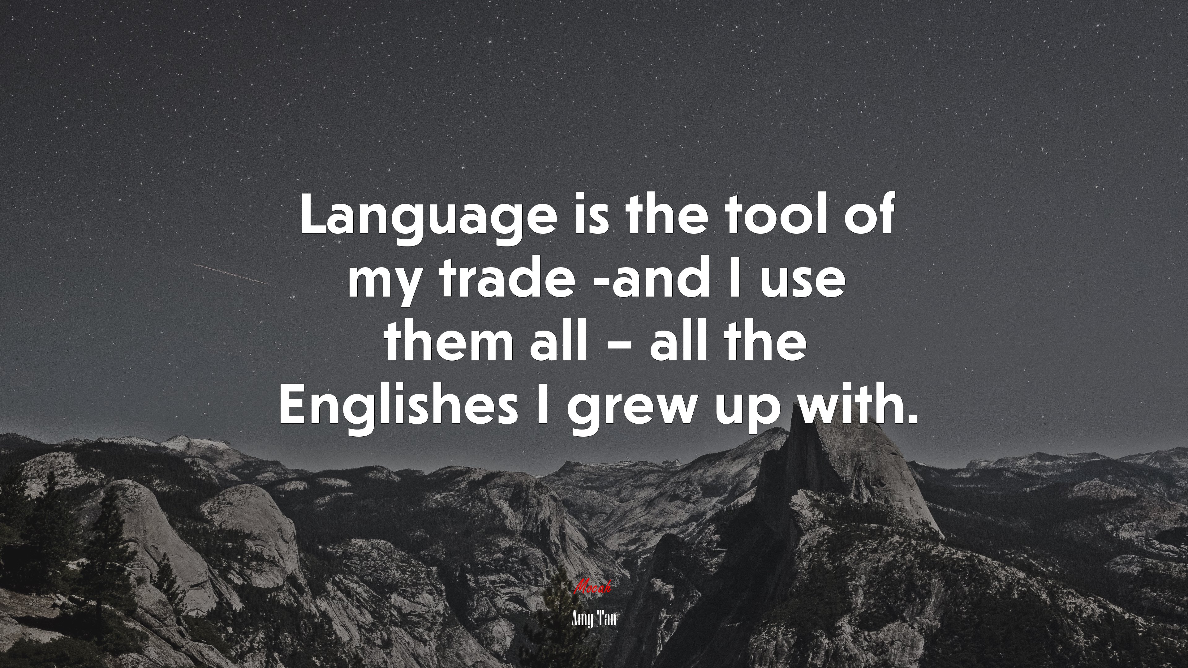 Language is the tool of my trade -and I use them all – all the Englishes I grew up with. | Amy Tan quote HD Wallpaper
