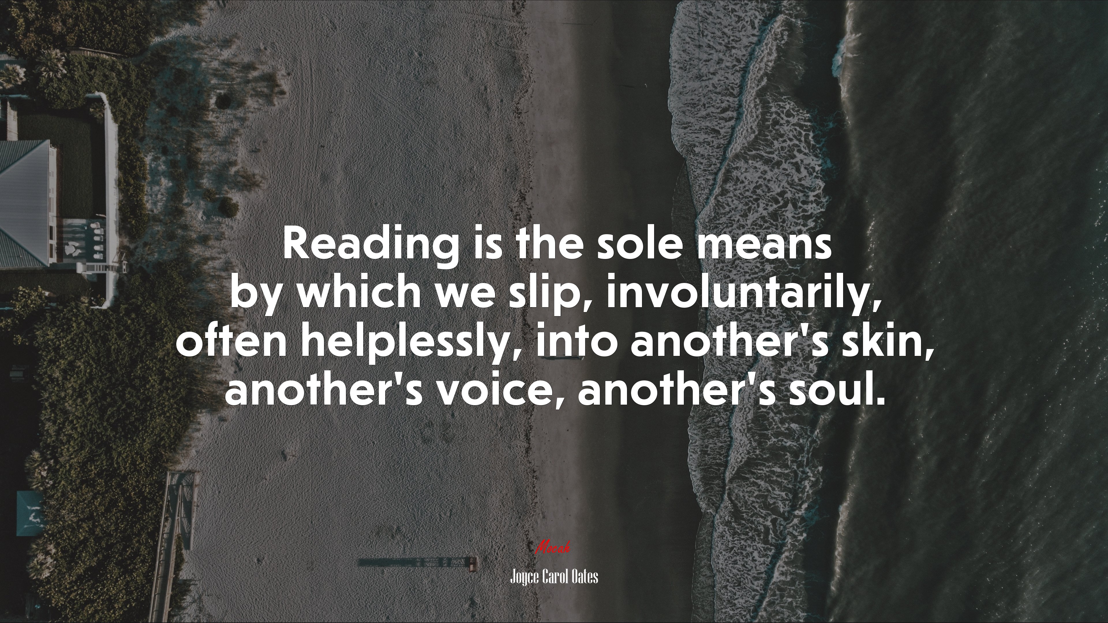 Reading is the sole means by which we slip, involuntarily, often helplessly, into another’s skin, another’s voice, another’s soul. | Joyce Carol Oates quote HD Wallpaper