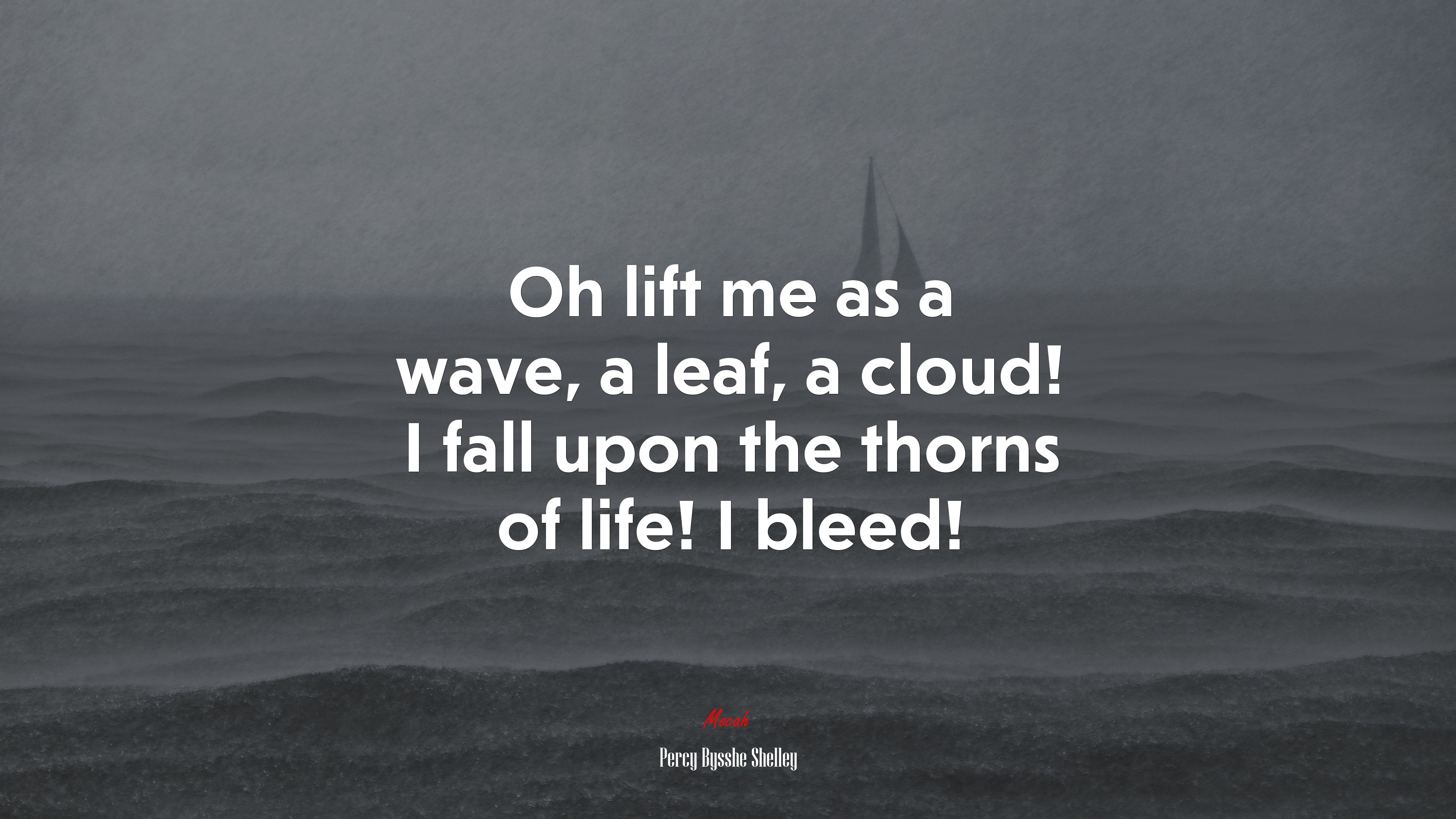 Oh lift me as a wave, a leaf, a cloud! I fall upon the thorns of life! I bleed! | Percy Bysshe Shelley quote HD Wallpaper