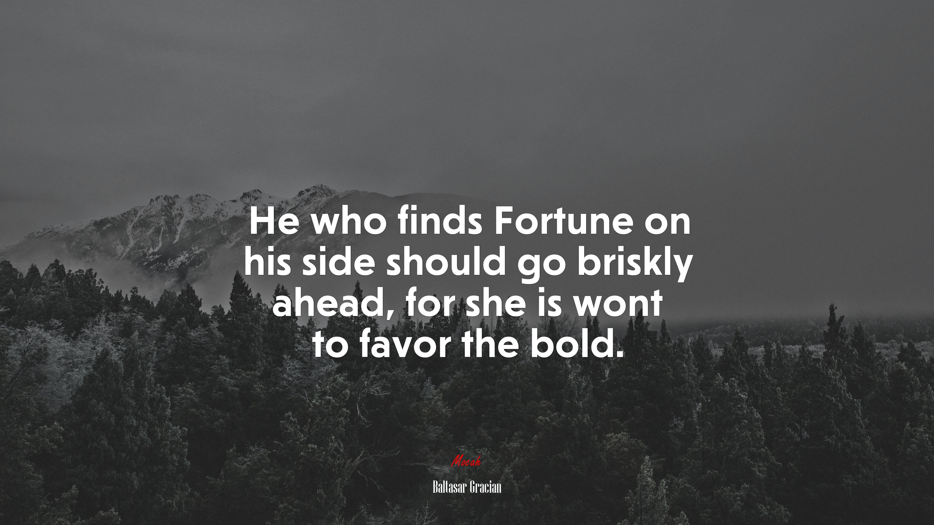 He who finds Fortune on his side should go briskly ahead, for she is wont to favor the bold. | Baltasar Gracián quote HD Wallpaper