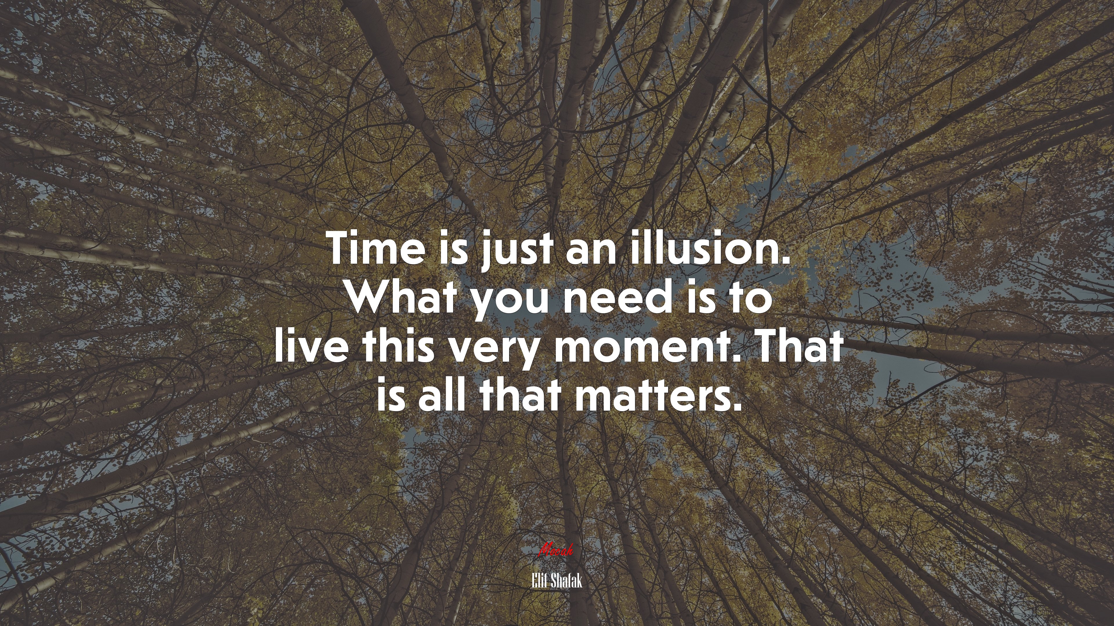 Time is just an illusion. What you need is to live this very moment. That is all that matters. | Elif Shafak quote HD Wallpaper