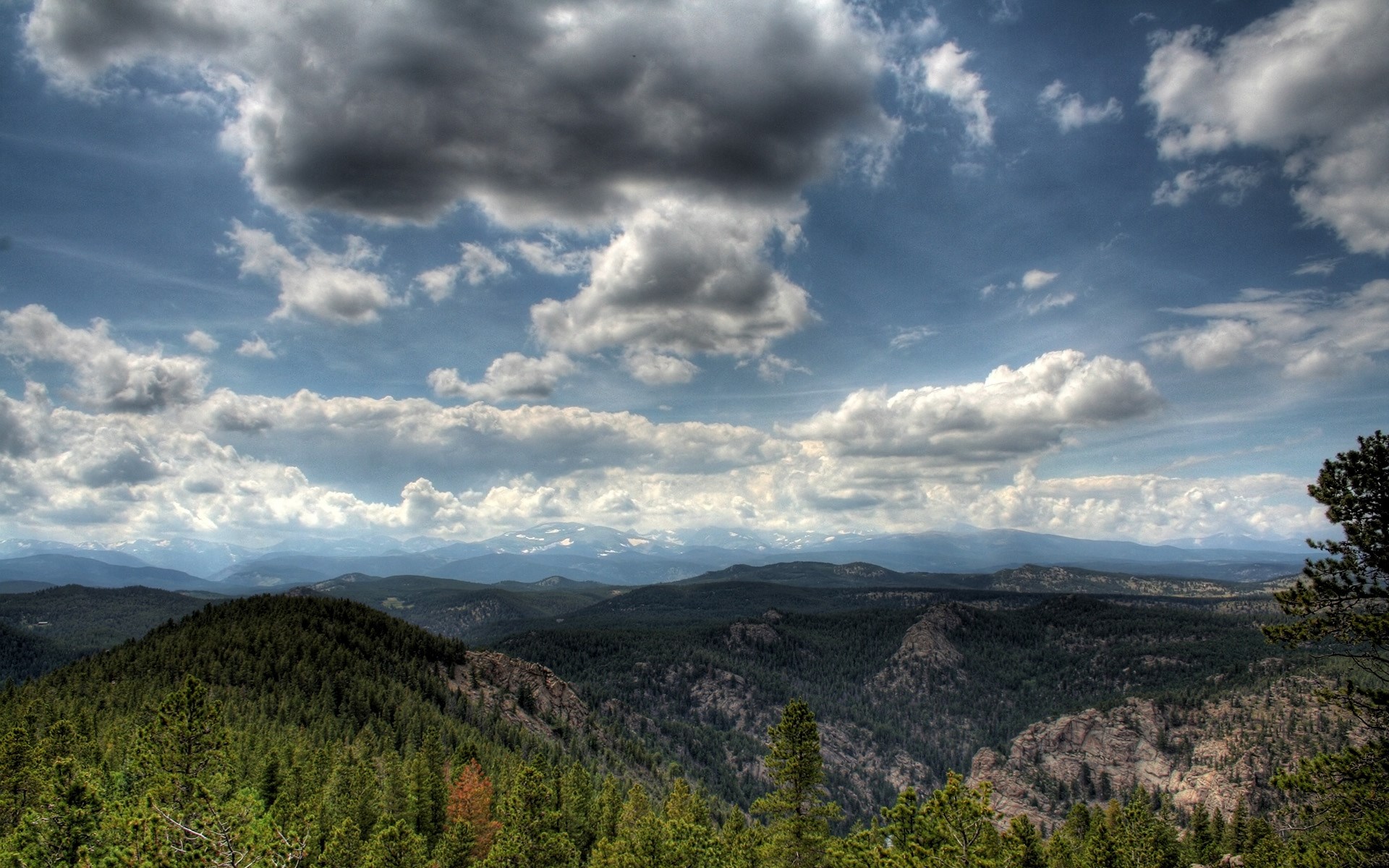Mountain range with pine forest and dramatic clouds HD Wallpaper
