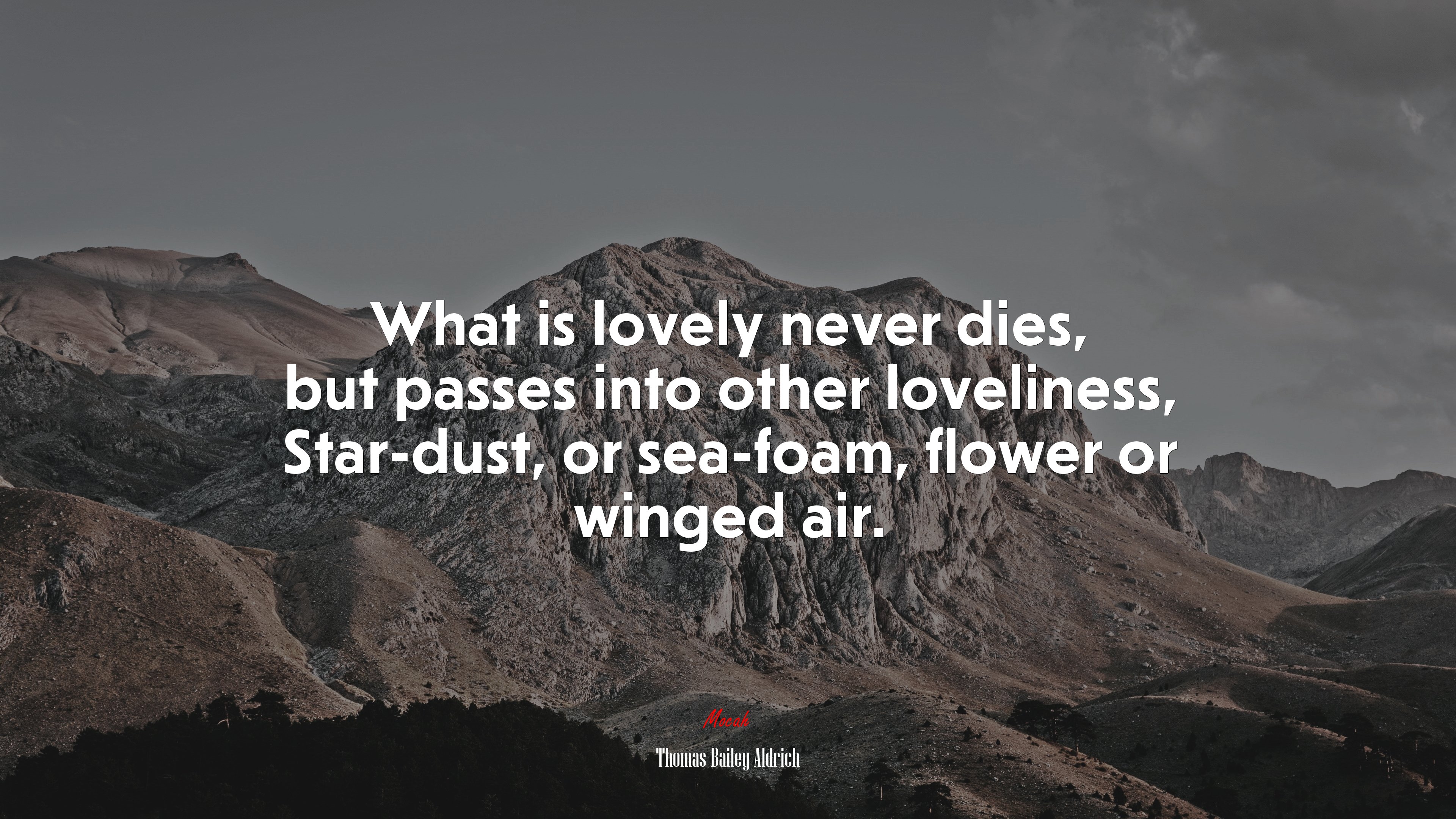 What is lovely never dies, but passes into other loveliness, Star-dust, or sea-foam, flower or winged air. | Thomas Bailey Aldrich quote HD Wallpaper