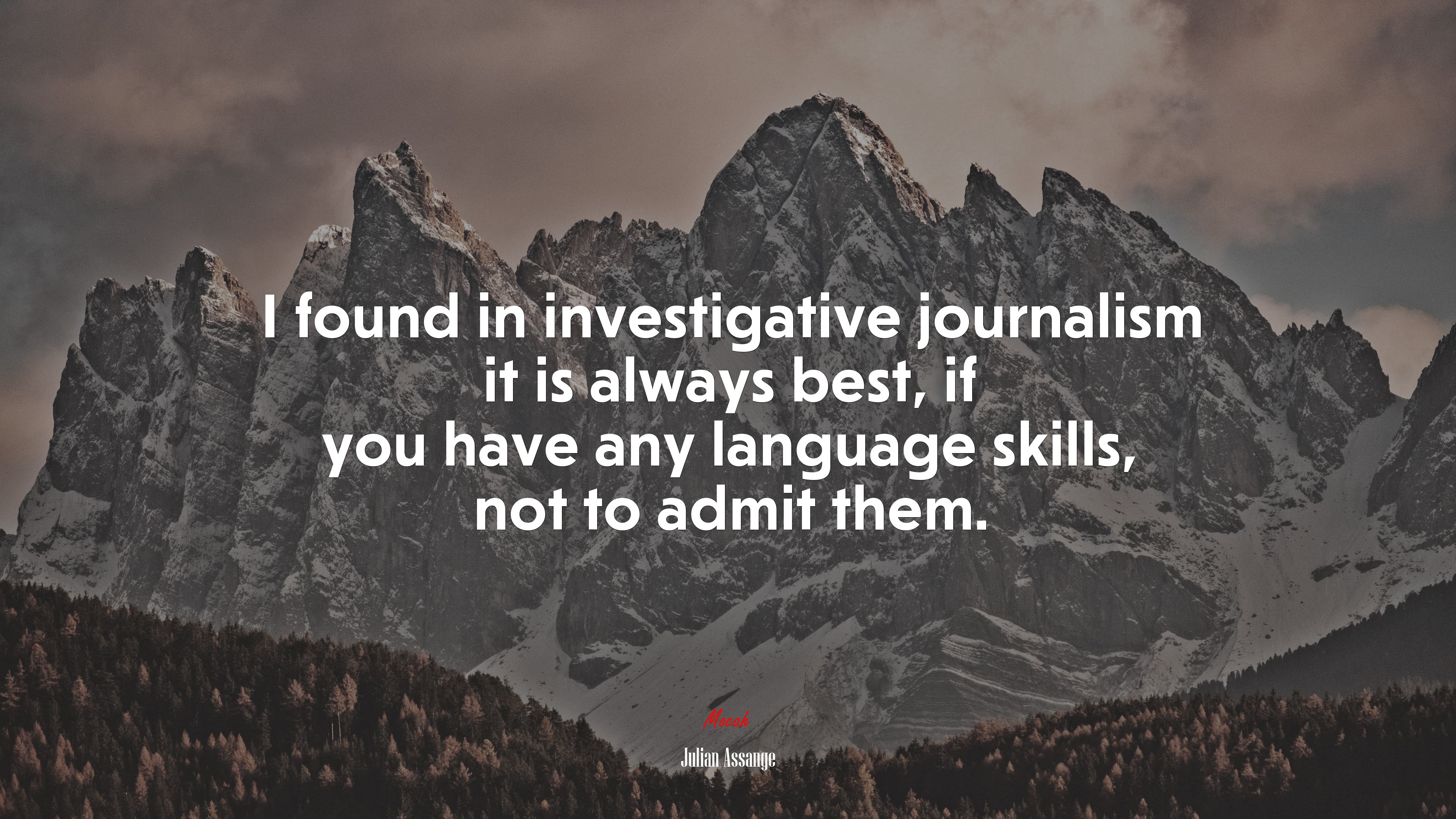 I found in investigative journalism it is always best, if you have any language skills, not to admit them. | Julian Assange quote HD Wallpaper