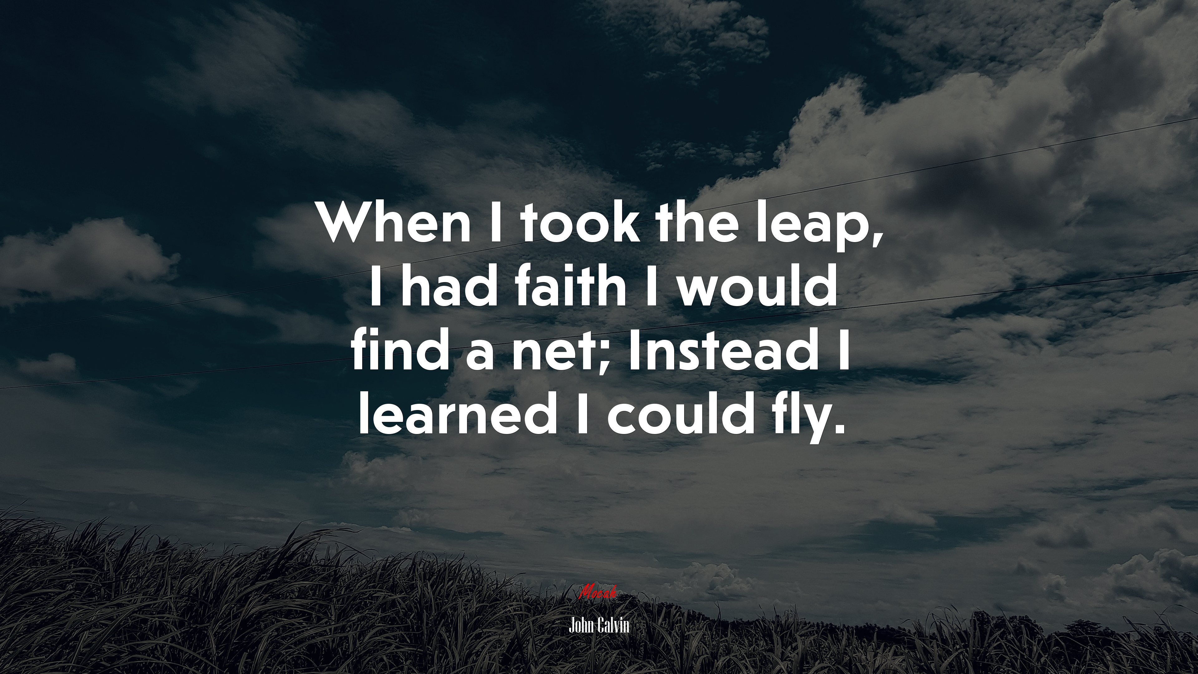 When I took the leap, I had faith I would find a net; Instead I learned I could fly. | John Calvin quote HD Wallpaper