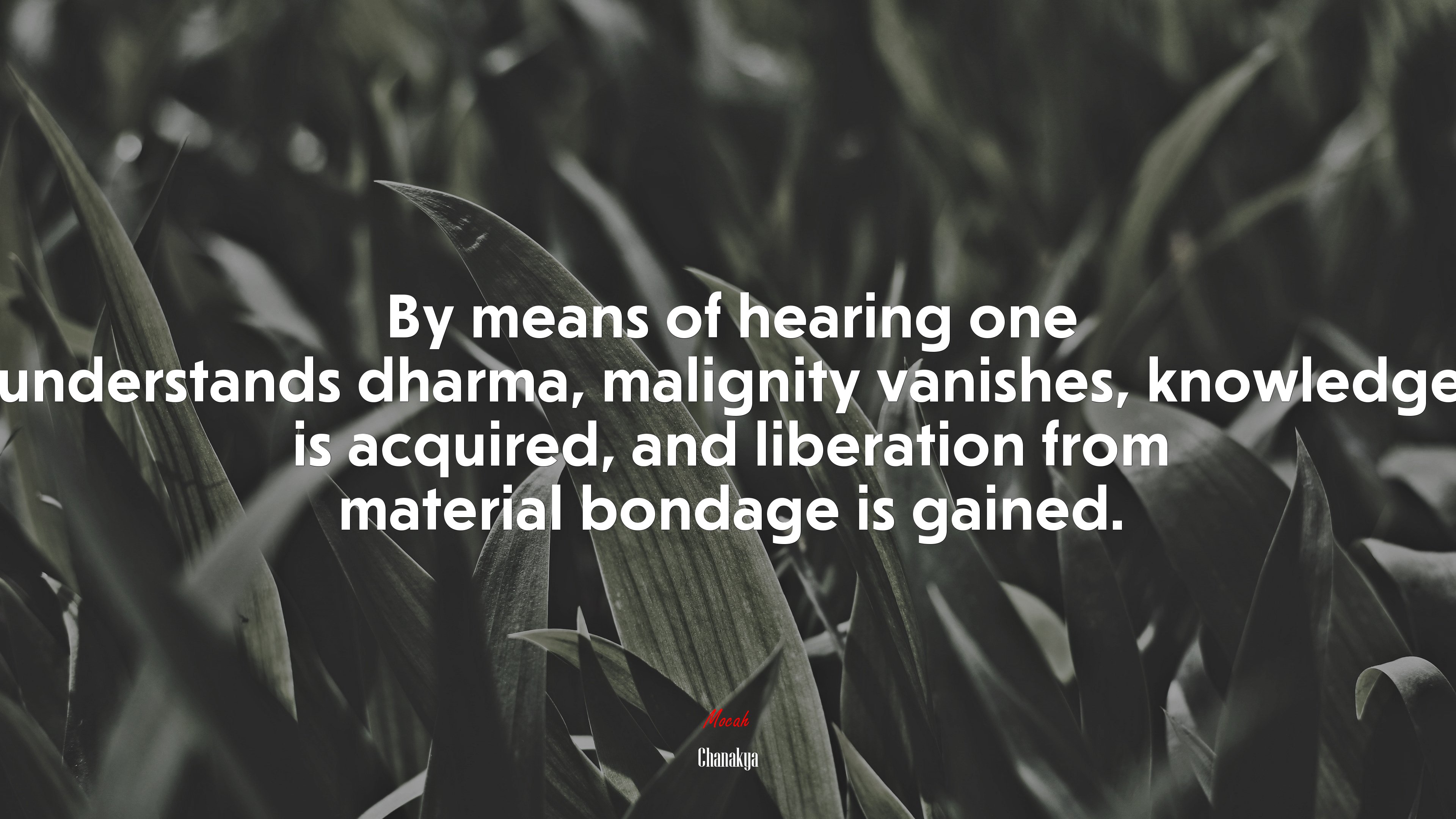 By means of hearing one understands dharma, malignity vanishes, knowledge is acquired, and liberation from material bondage is gained. | Chanakya quote HD Wallpaper