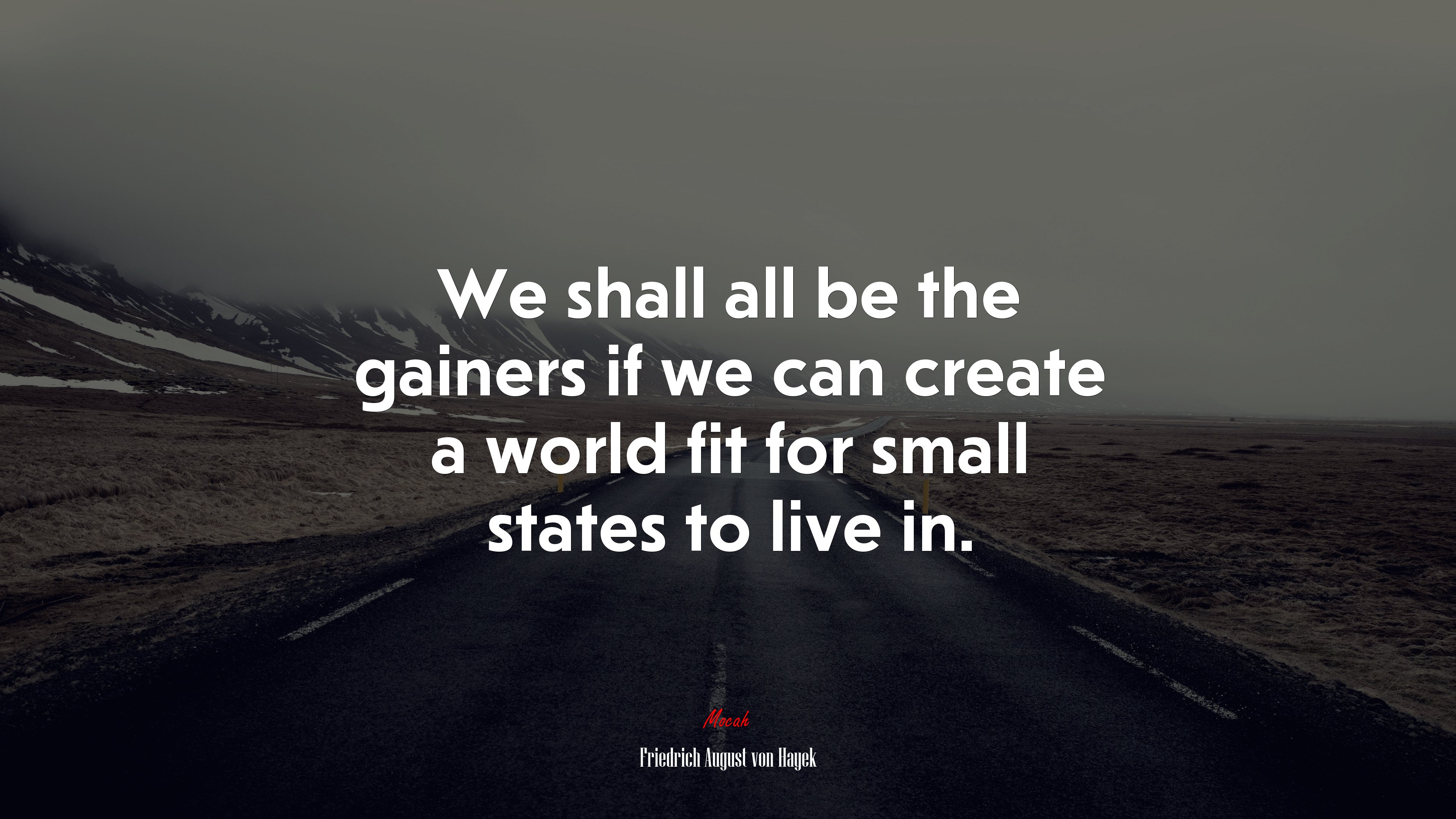 We shall all be the gainers if we can create a world fit for small states to live in. | Friedrich August von Hayek quote HD Wallpaper