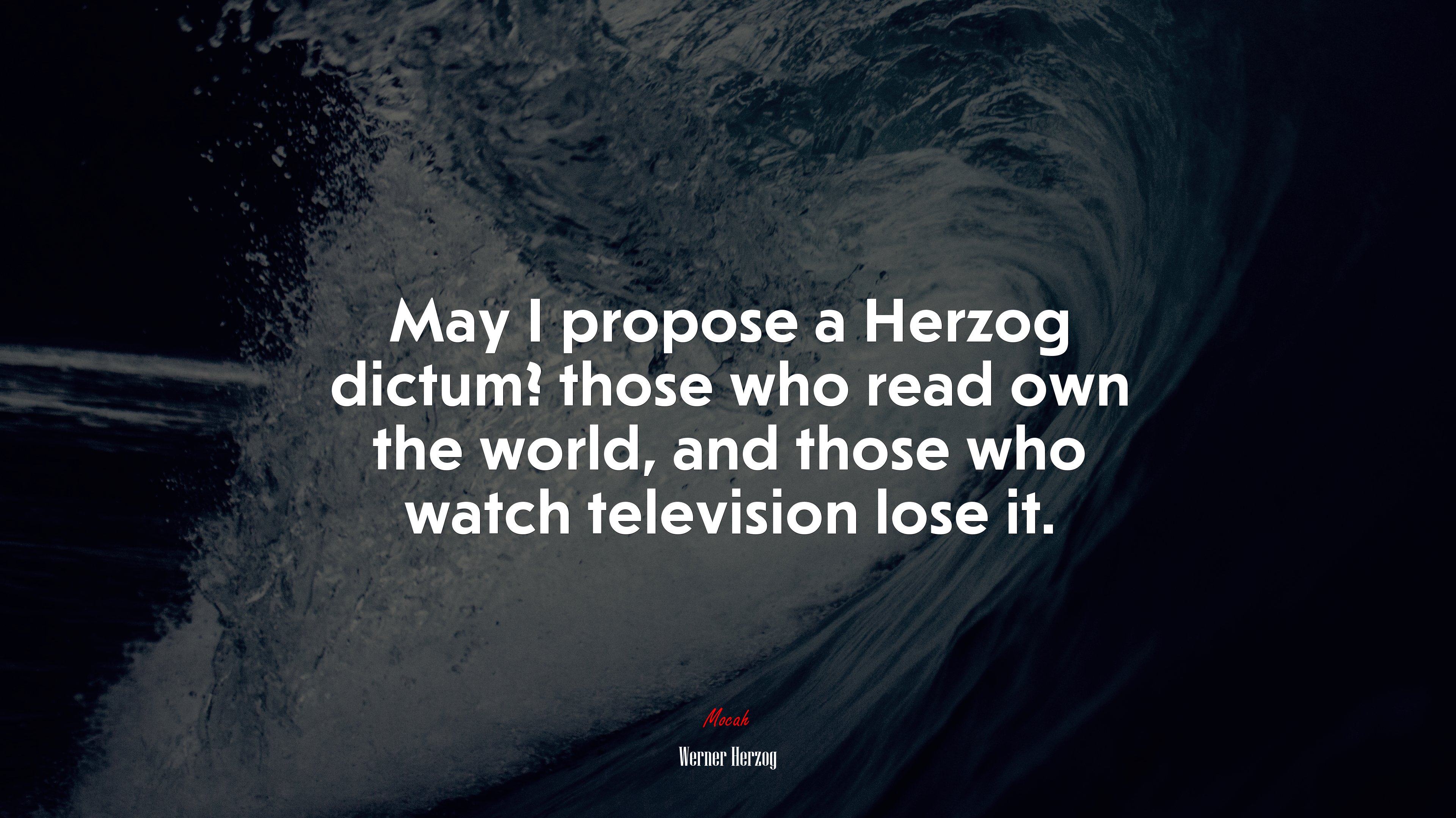 May I propose a Herzog dictum? those who read own the world, and those who watch television lose it. | Werner Herzog quote HD Wallpaper