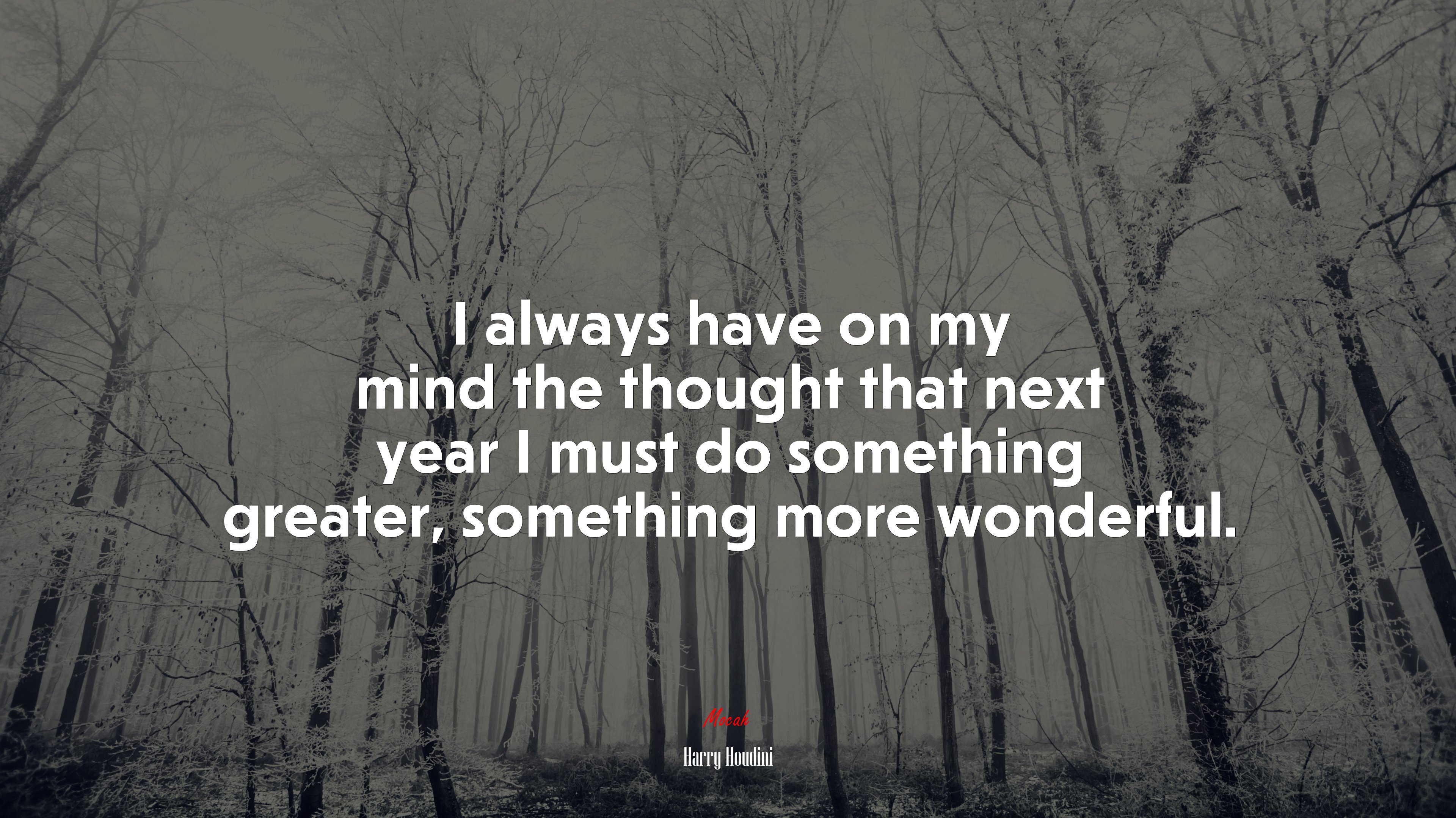 I always have on my mind the thought that next year I must do something greater, something more wonderful. | Harry Houdini quote HD Wallpaper