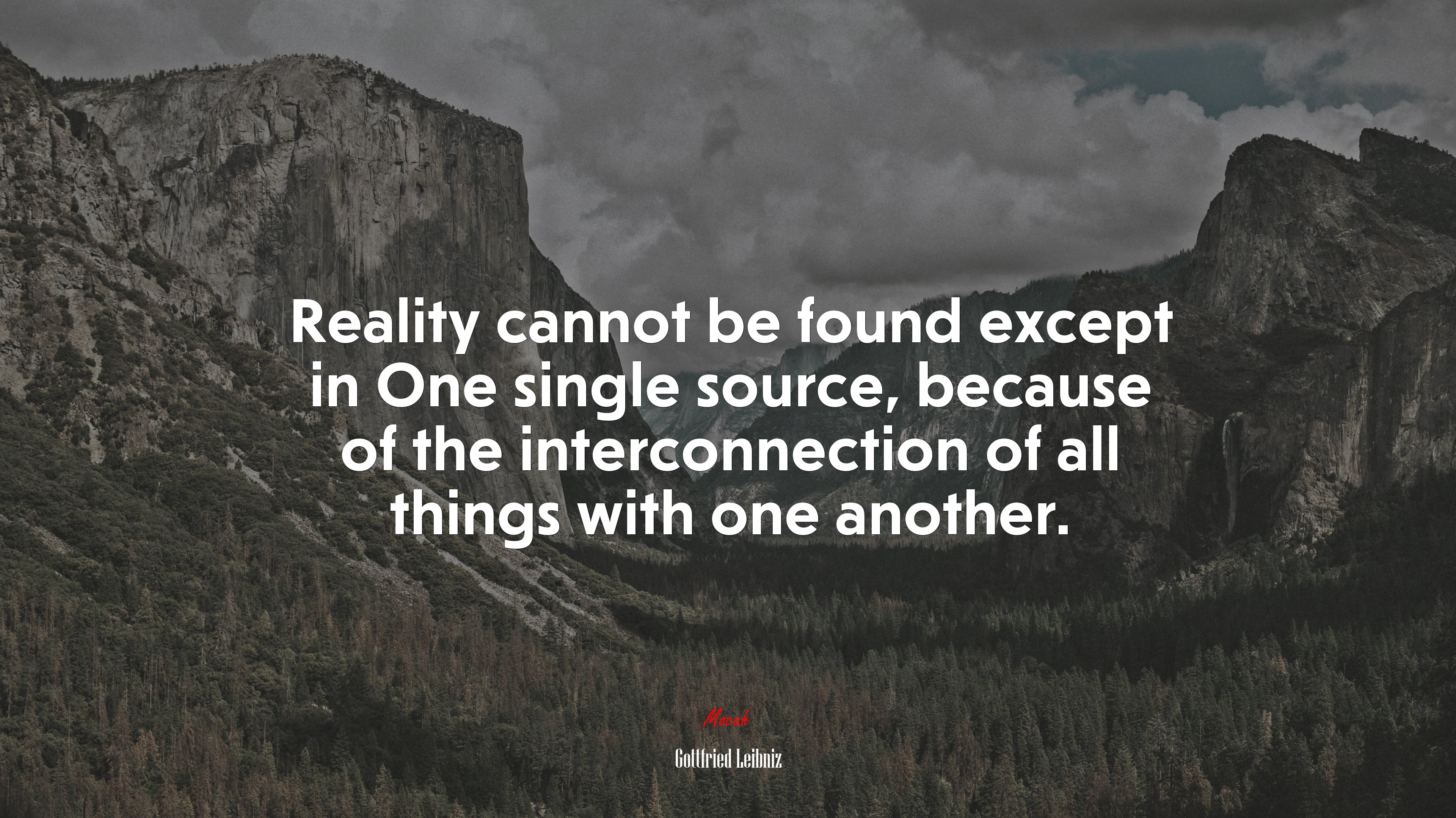 Reality cannot be found except in One single source, because of the interconnection of all things with one another. | Gottfried Leibniz quote HD Wallpaper