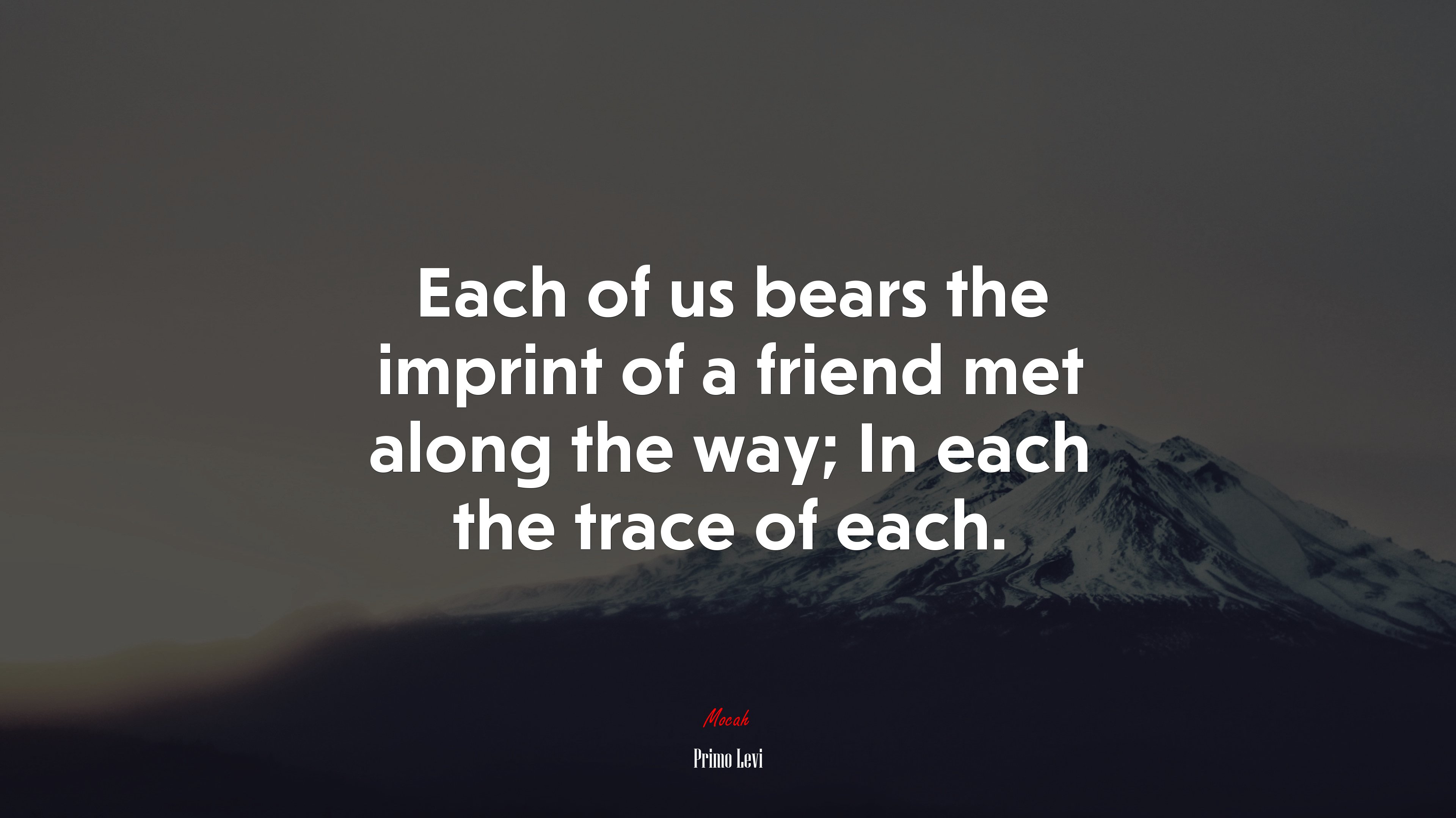 Each of us bears the imprint of a friend met along the way; In each the trace of each. | Primo Levi quote HD Wallpaper
