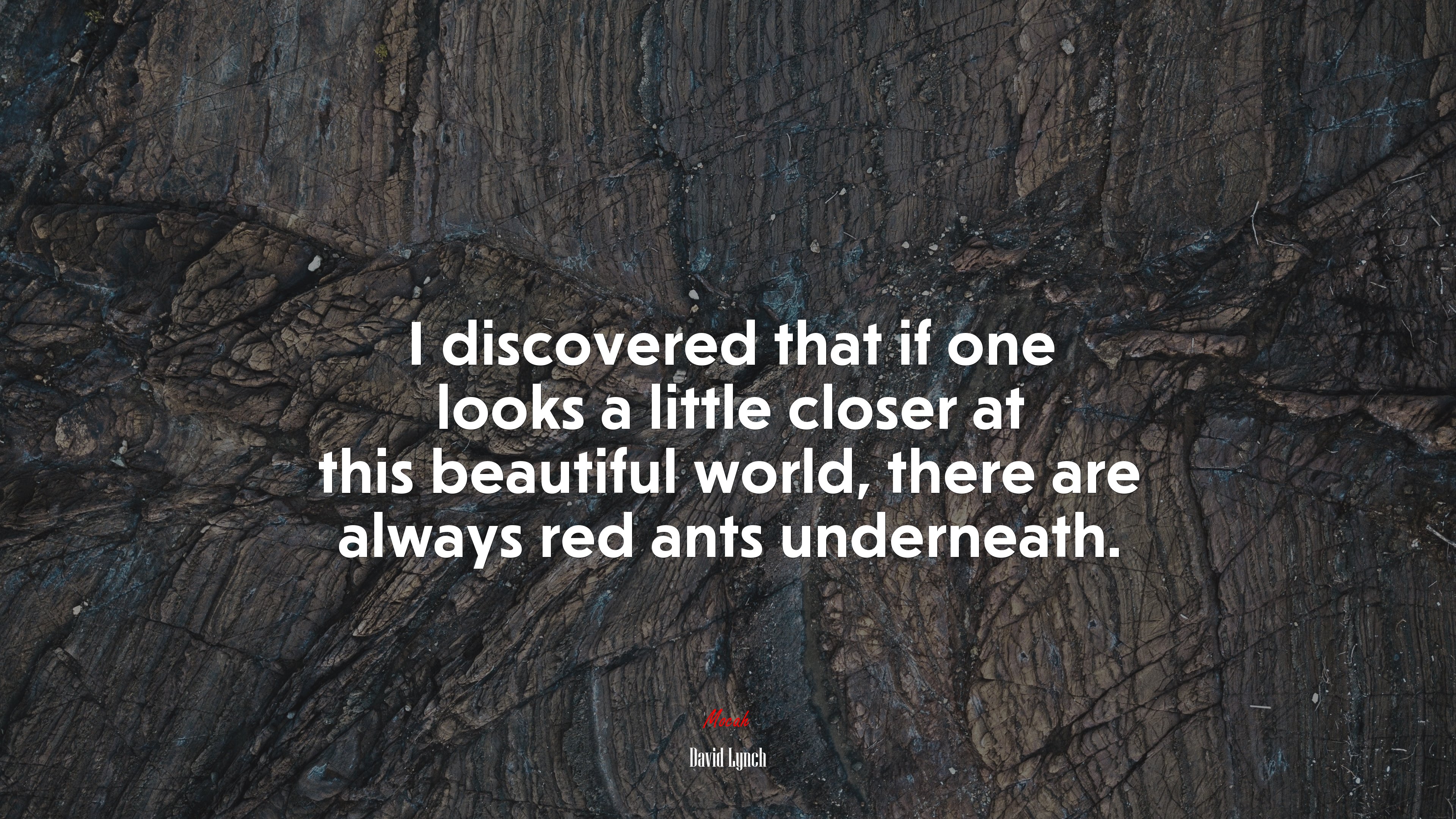 I discovered that if one looks a little closer at this beautiful world, there are always red ants underneath. | David Lynch quote HD Wallpaper