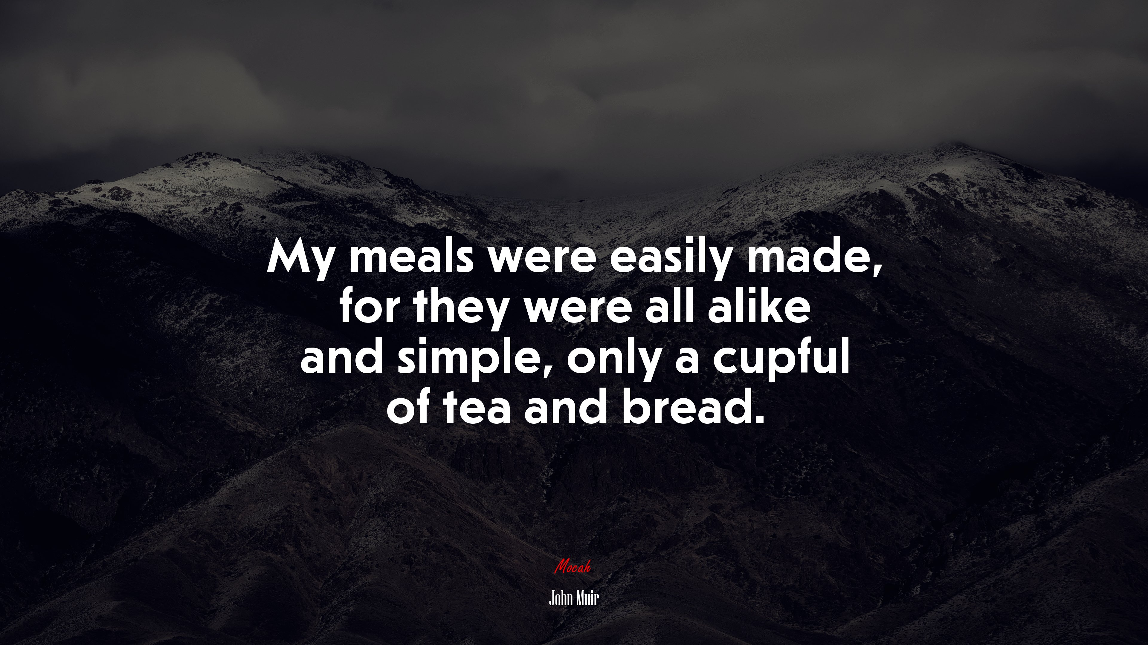 My meals were easily made, for they were all alike and simple, only a cupful of tea and bread. | John Muir quote HD Wallpaper
