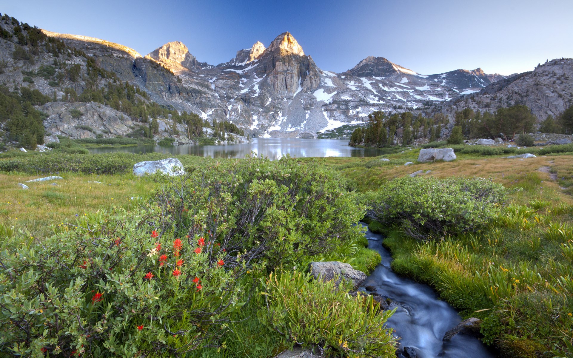 Mountain lake with wildflowers and stream at sunrise HD Wallpaper