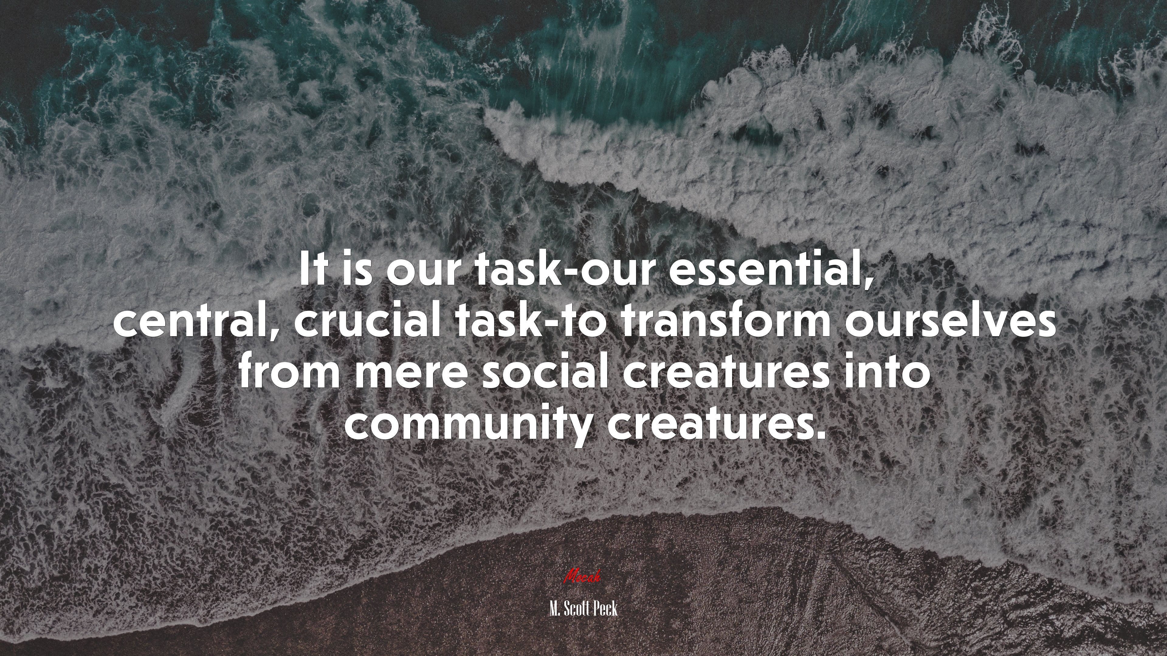 It is our task-our essential, central, crucial task-to transform ourselves from mere social creatures into community creatures. | M. Scott Peck quote HD Wallpaper