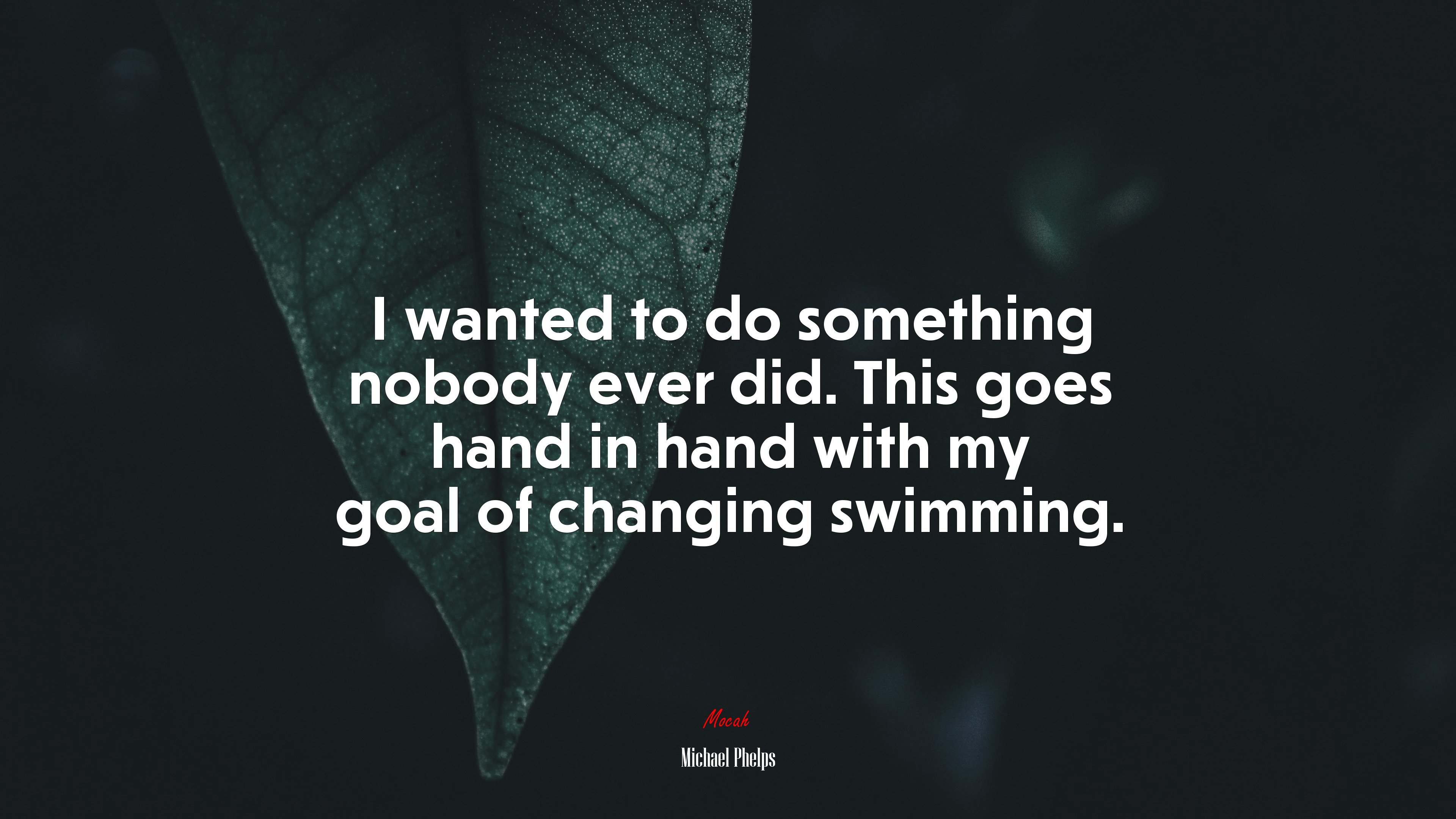 I wanted to do something nobody ever did. This goes hand in hand with my goal of changing swimming. | Michael Phelps quote HD Wallpaper