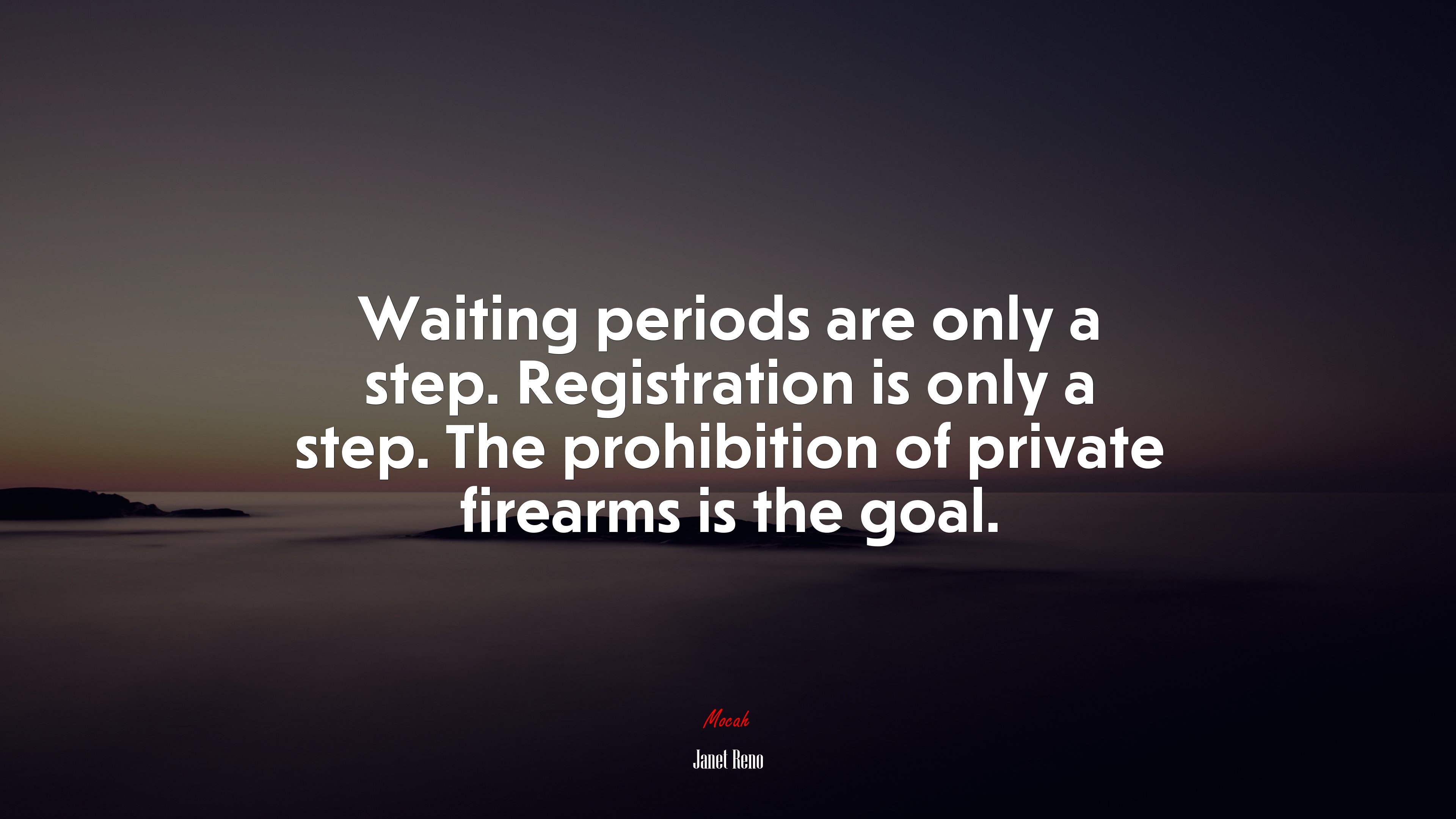 Waiting periods are only a step. Registration is only a step. The prohibition of private firearms is the goal. | Janet Reno quote HD Wallpaper