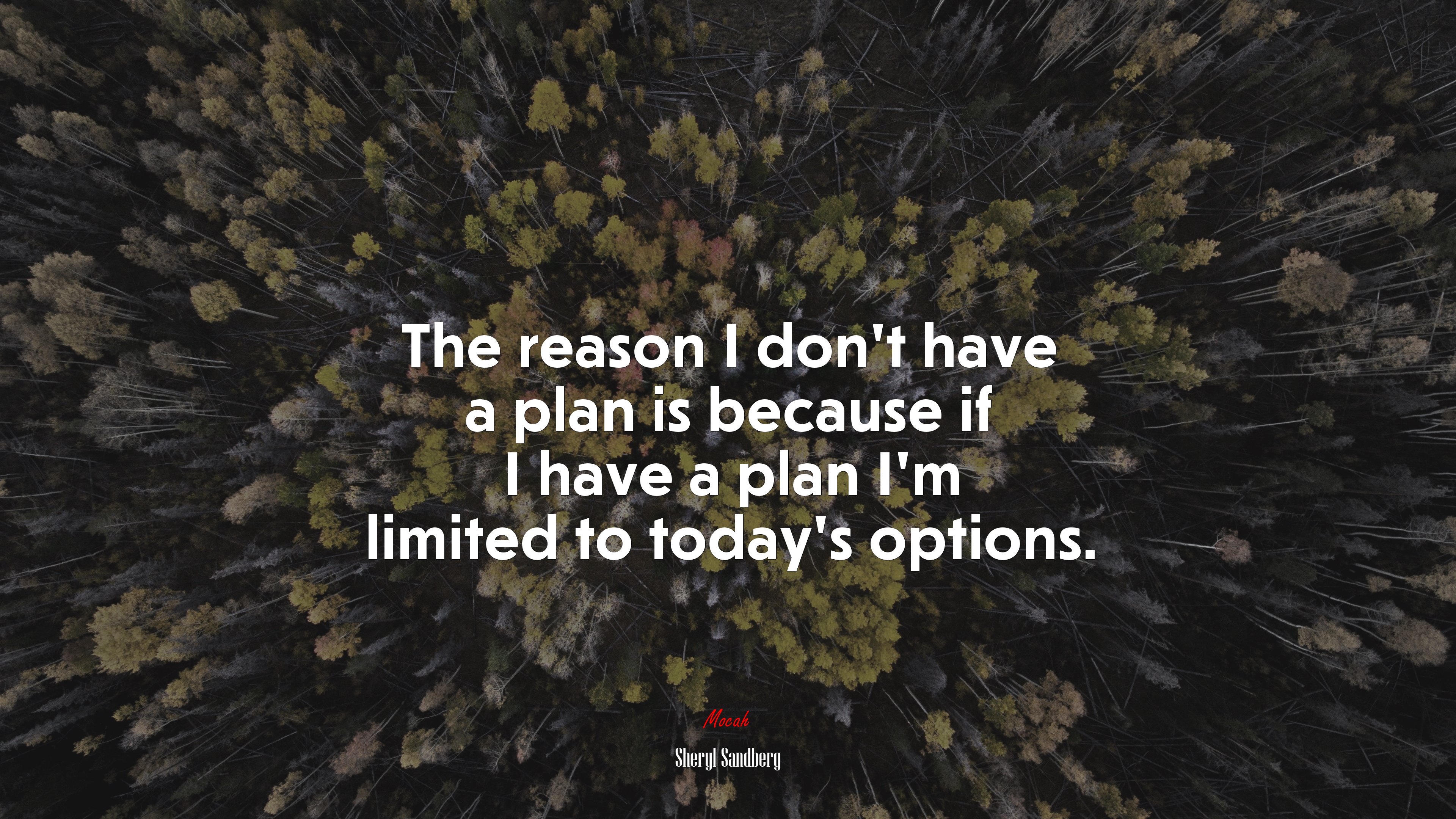 The reason I don’t have a plan is because if I have a plan I’m limited to today’s options. | Sheryl Sandberg quote HD Wallpaper