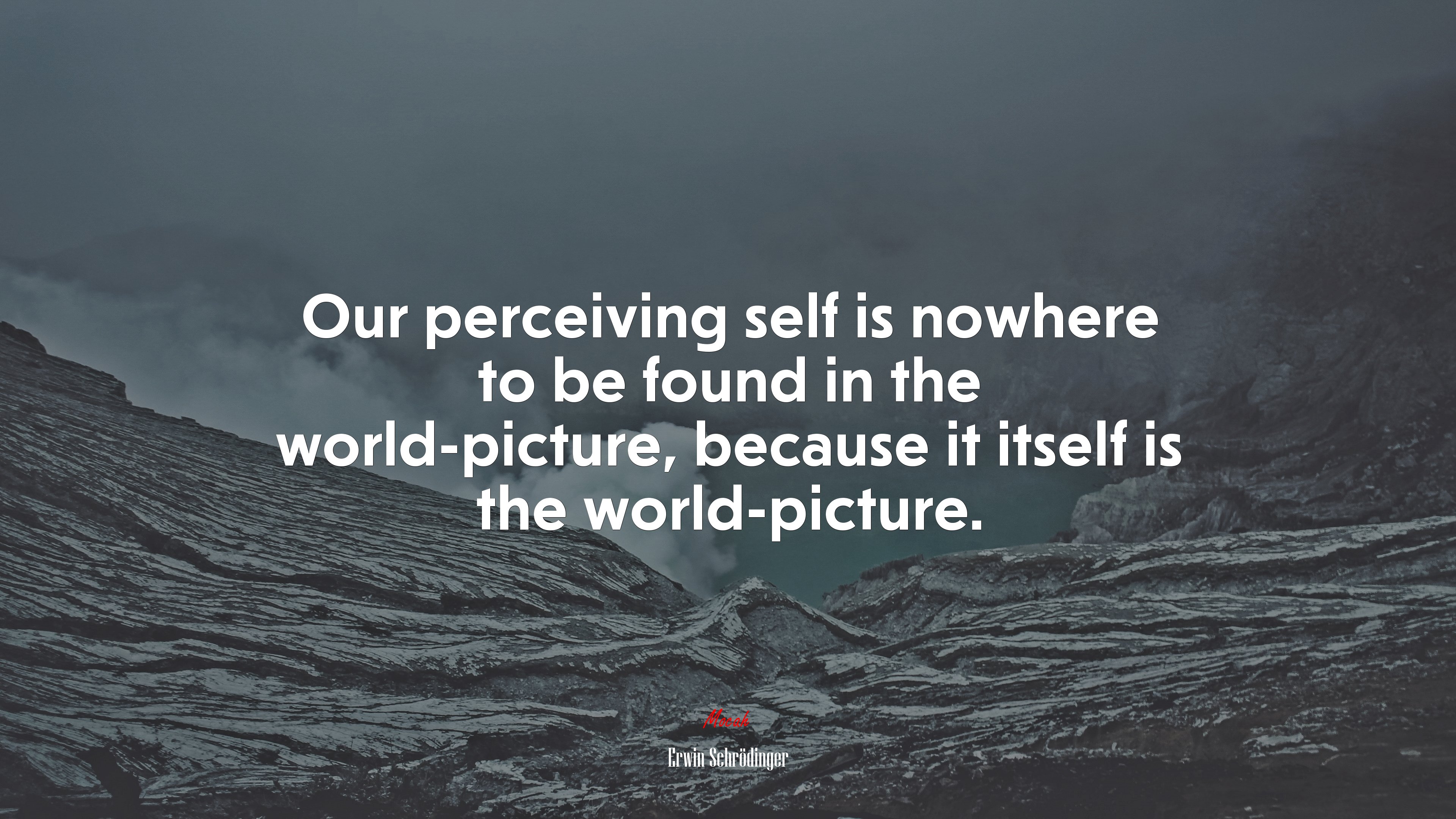 Our perceiving self is nowhere to be found in the world-picture, because it itself is the world-picture. | Erwin Schrödinger quote HD Wallpaper