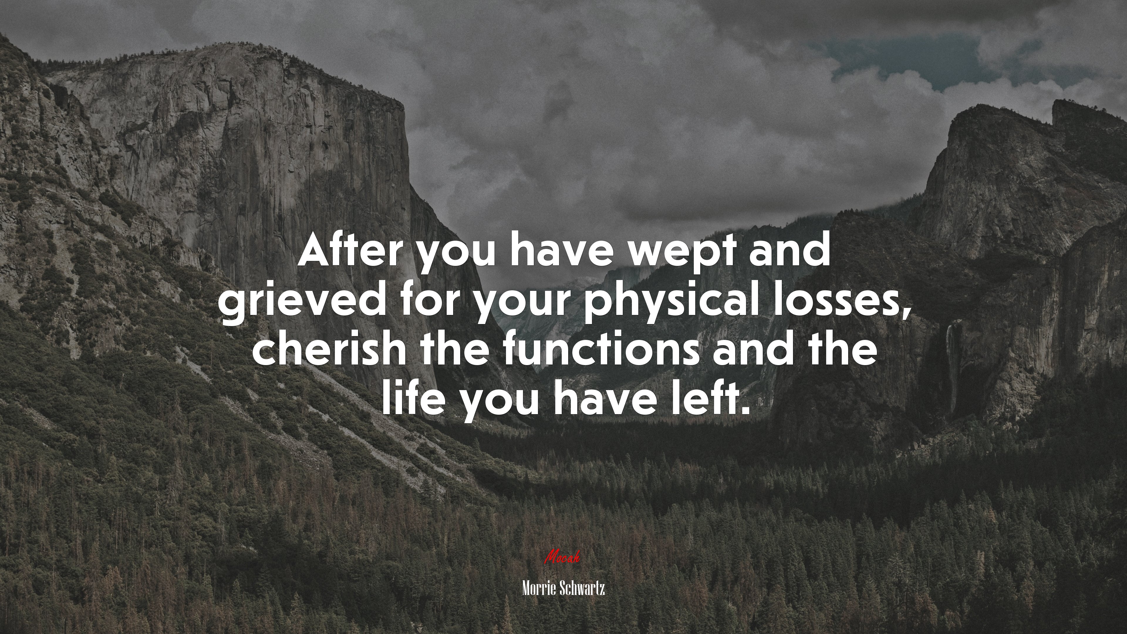 After you have wept and grieved for your physical losses, cherish the functions and the life you have left. | Morrie Schwartz quote HD Wallpaper