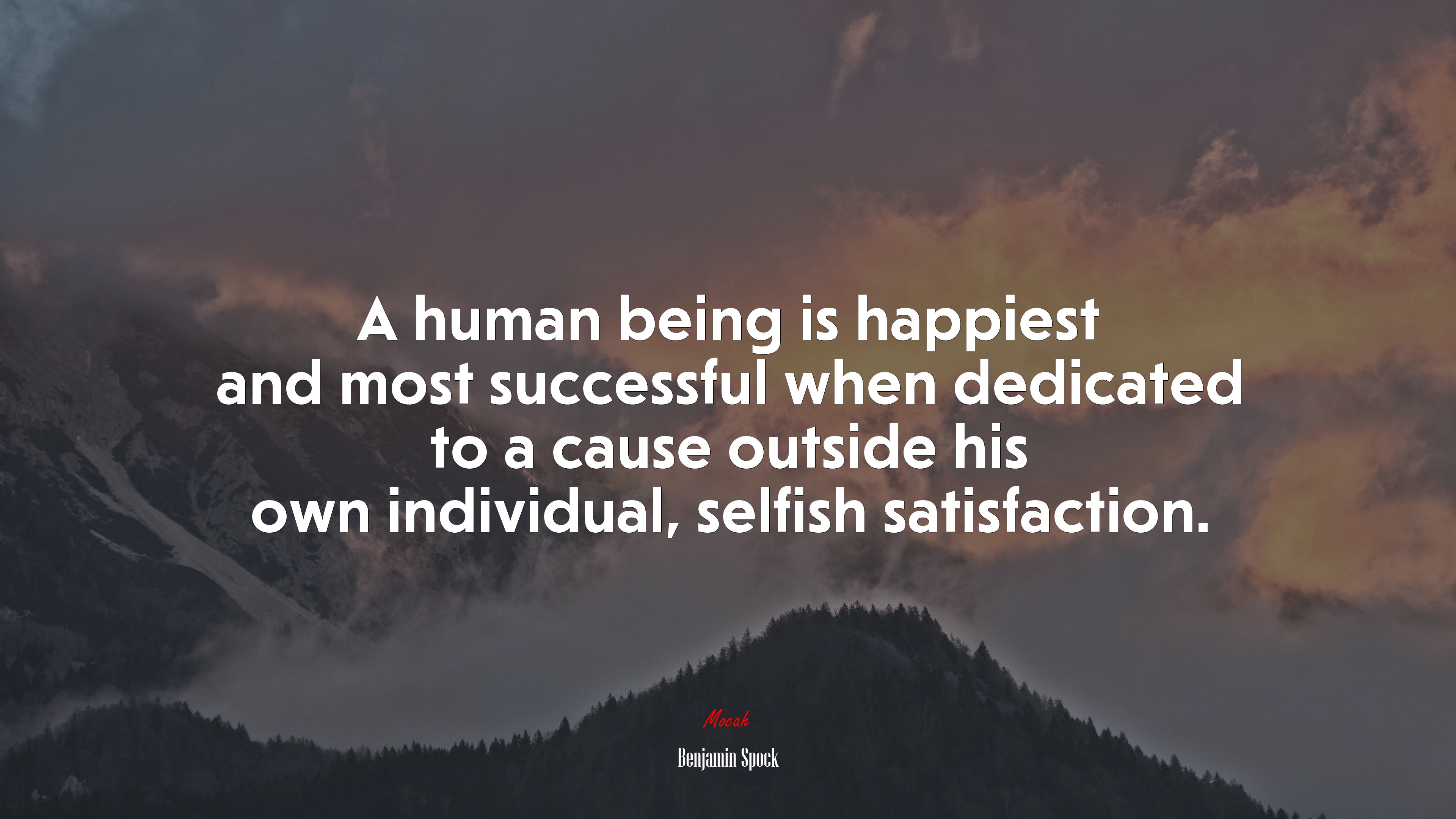 A human being is happiest and most successful when dedicated to a cause outside his own individual, selfish satisfaction. | Benjamin Spock quote HD Wallpaper