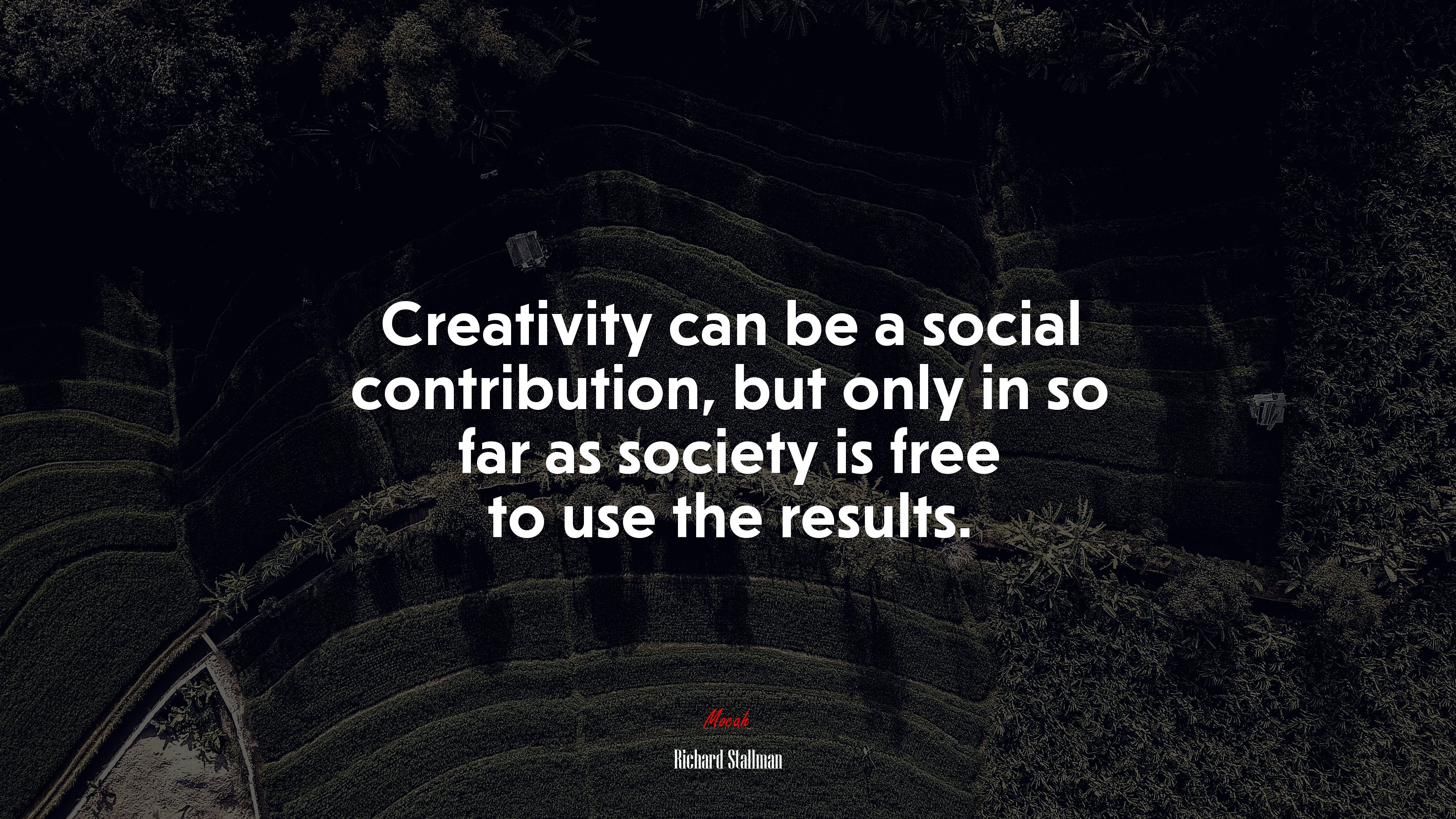 Creativity can be a social contribution, but only in so far as society is free to use the results. | Richard Stallman quote HD Wallpaper