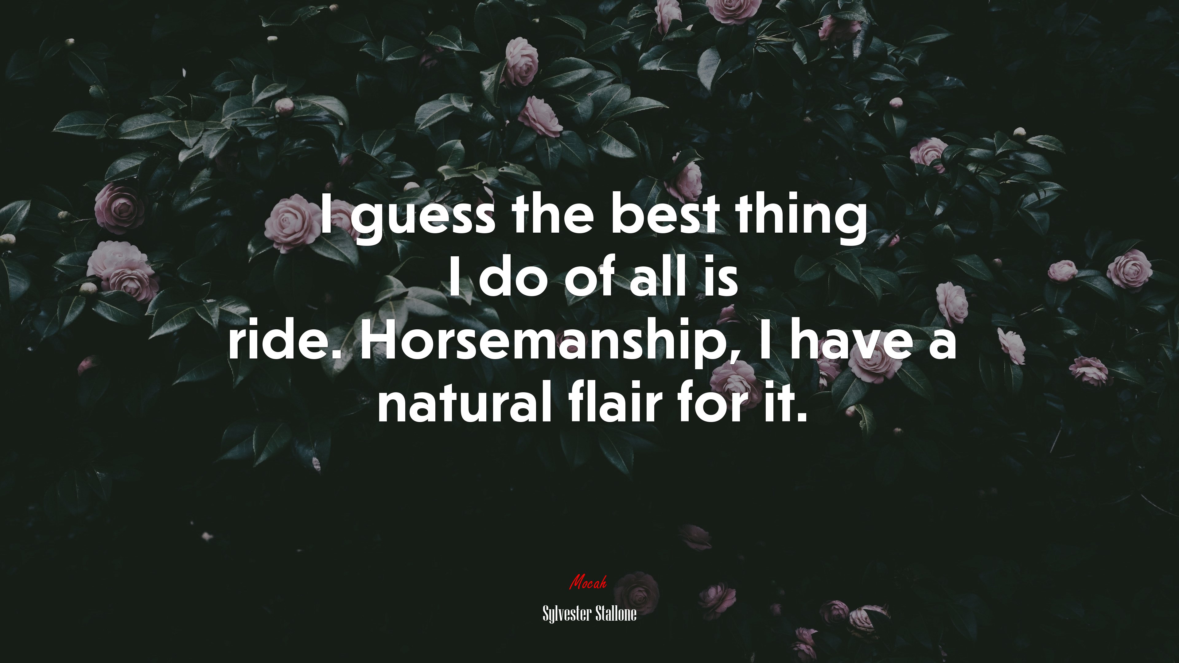 I guess the best thing I do of all is ride. Horsemanship, I have a natural flair for it. | Sylvester Stallone quote HD Wallpaper