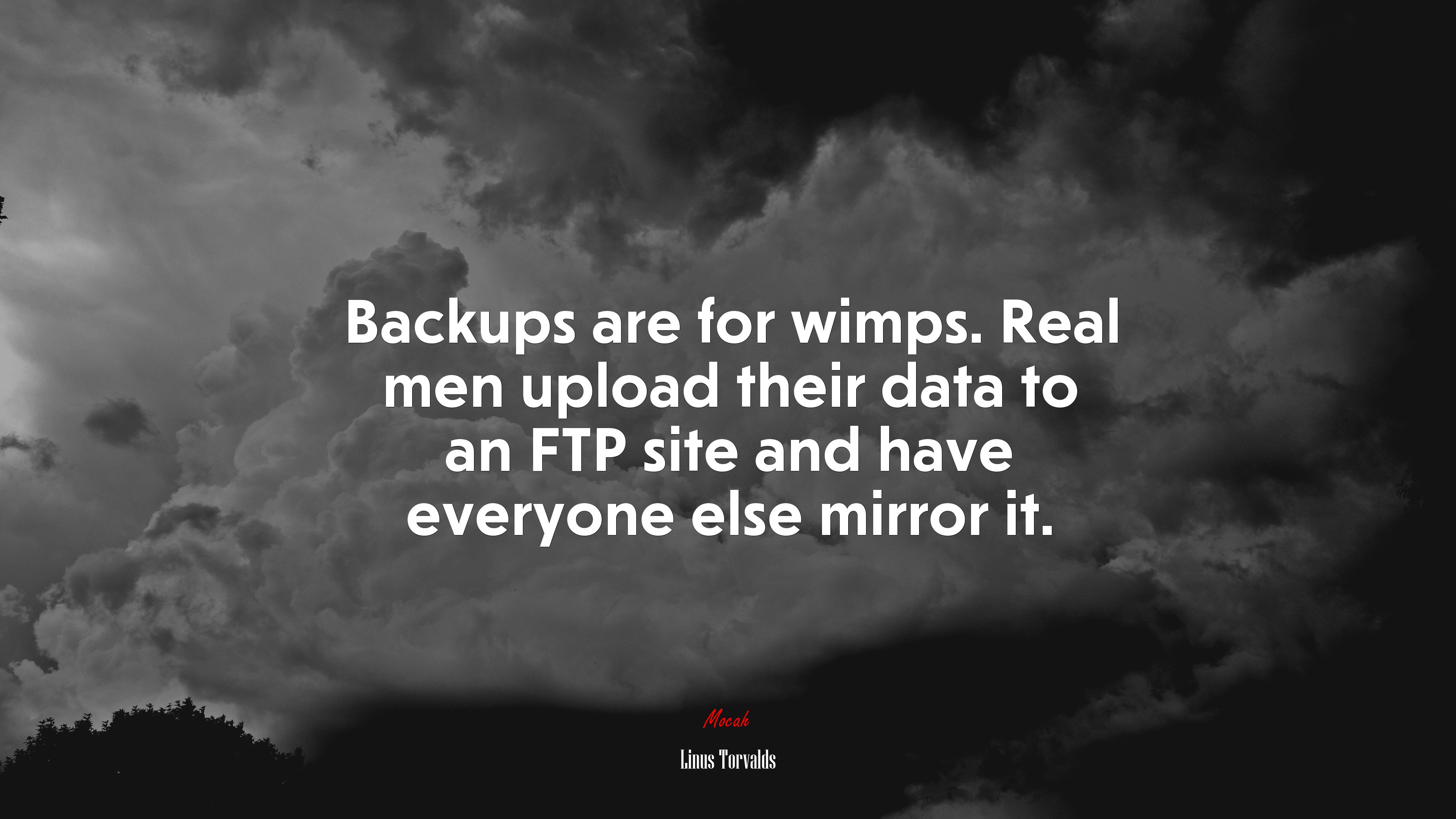 Backups are for wimps. Real men upload their data to an FTP site and have everyone else mirror it. | Linus Torvalds quote HD Wallpaper