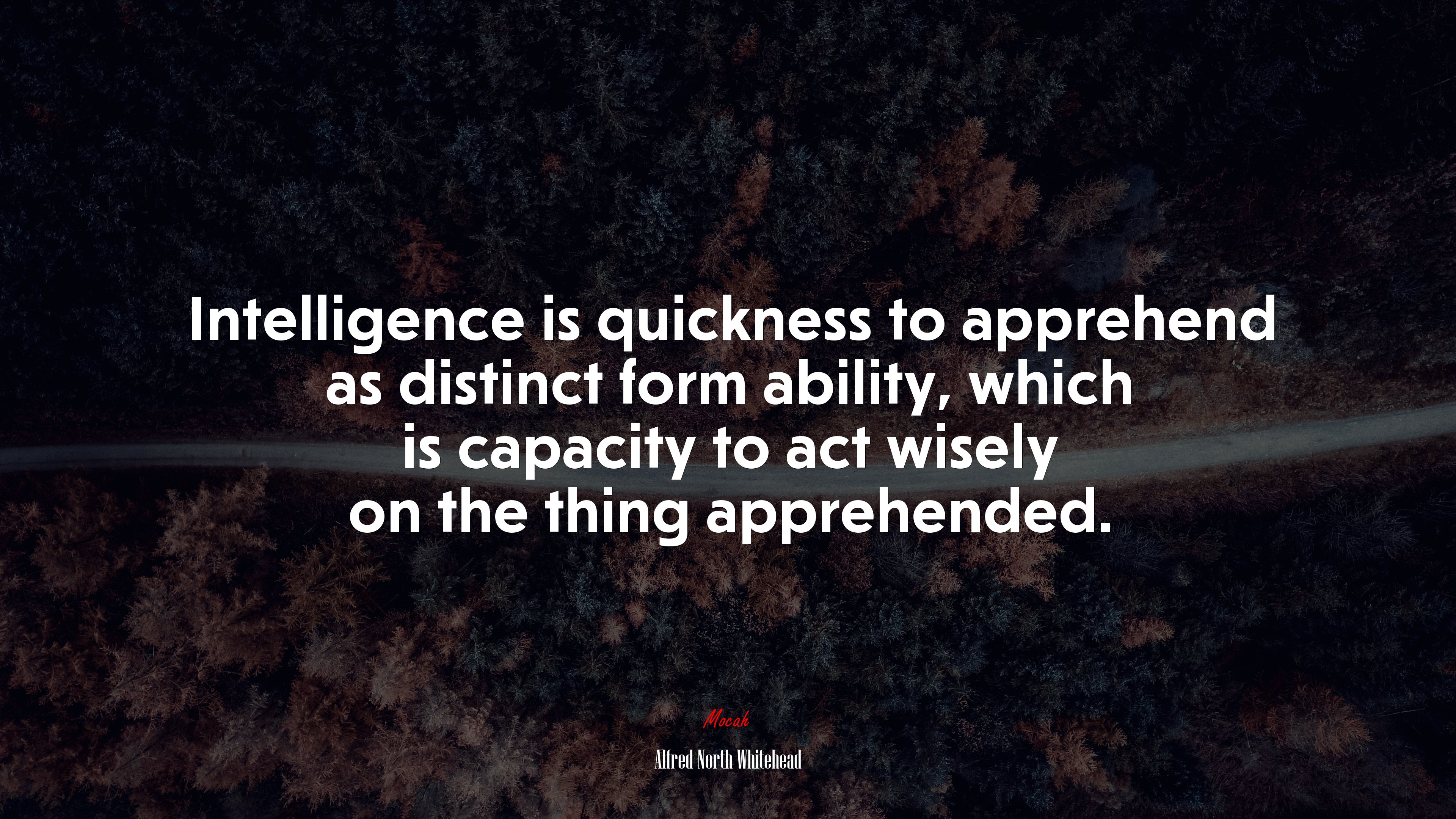 Intelligence is quickness to apprehend as distinct form ability, which is capacity to act wisely on the thing apprehended. | Alfred North Whitehead quote HD Wallpaper