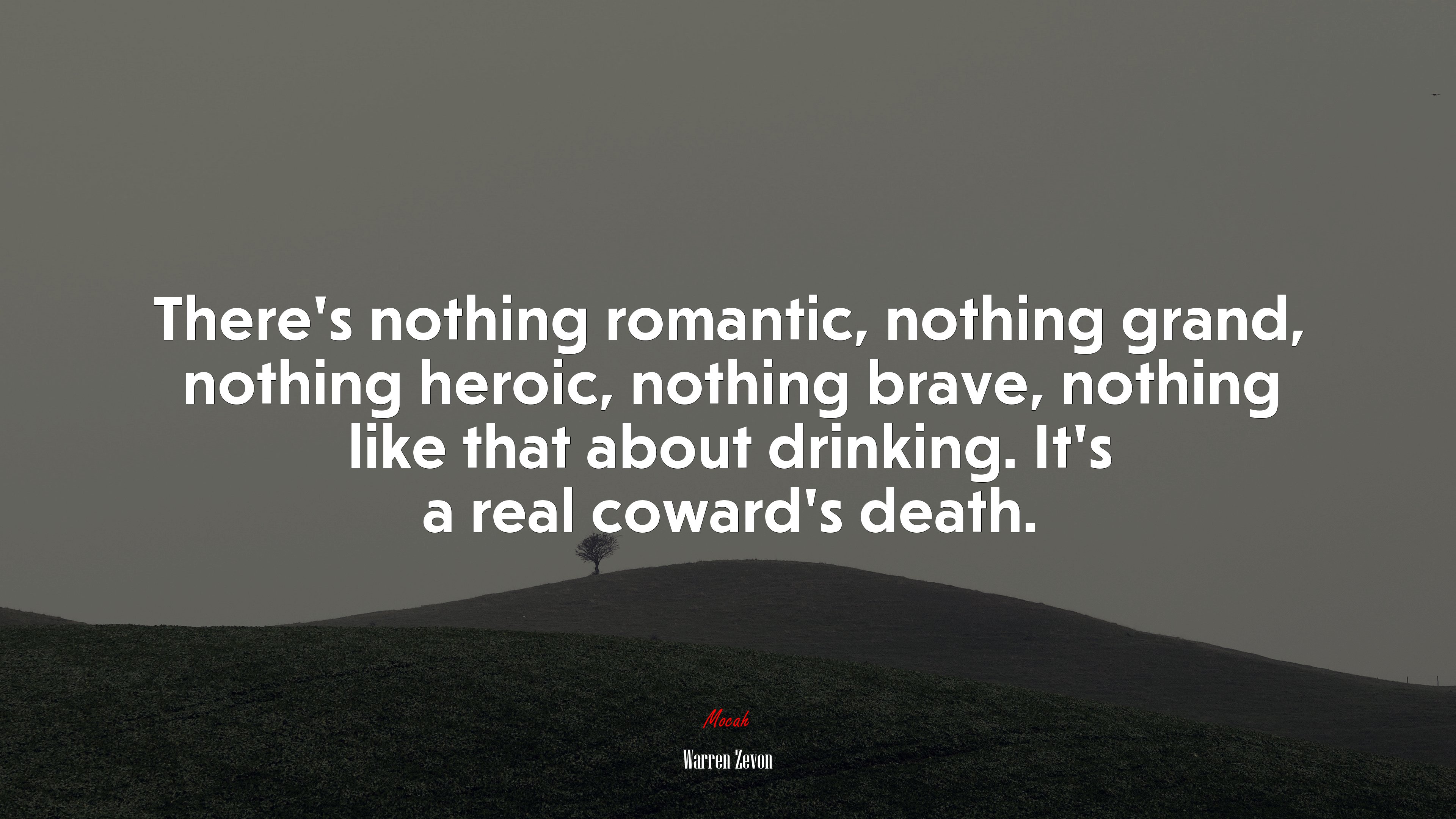 There’s nothing romantic, nothing grand, nothing heroic, nothing brave, nothing like that about drinking. It’s a real coward’s death. | Warren Zevon quote HD Wallpaper
