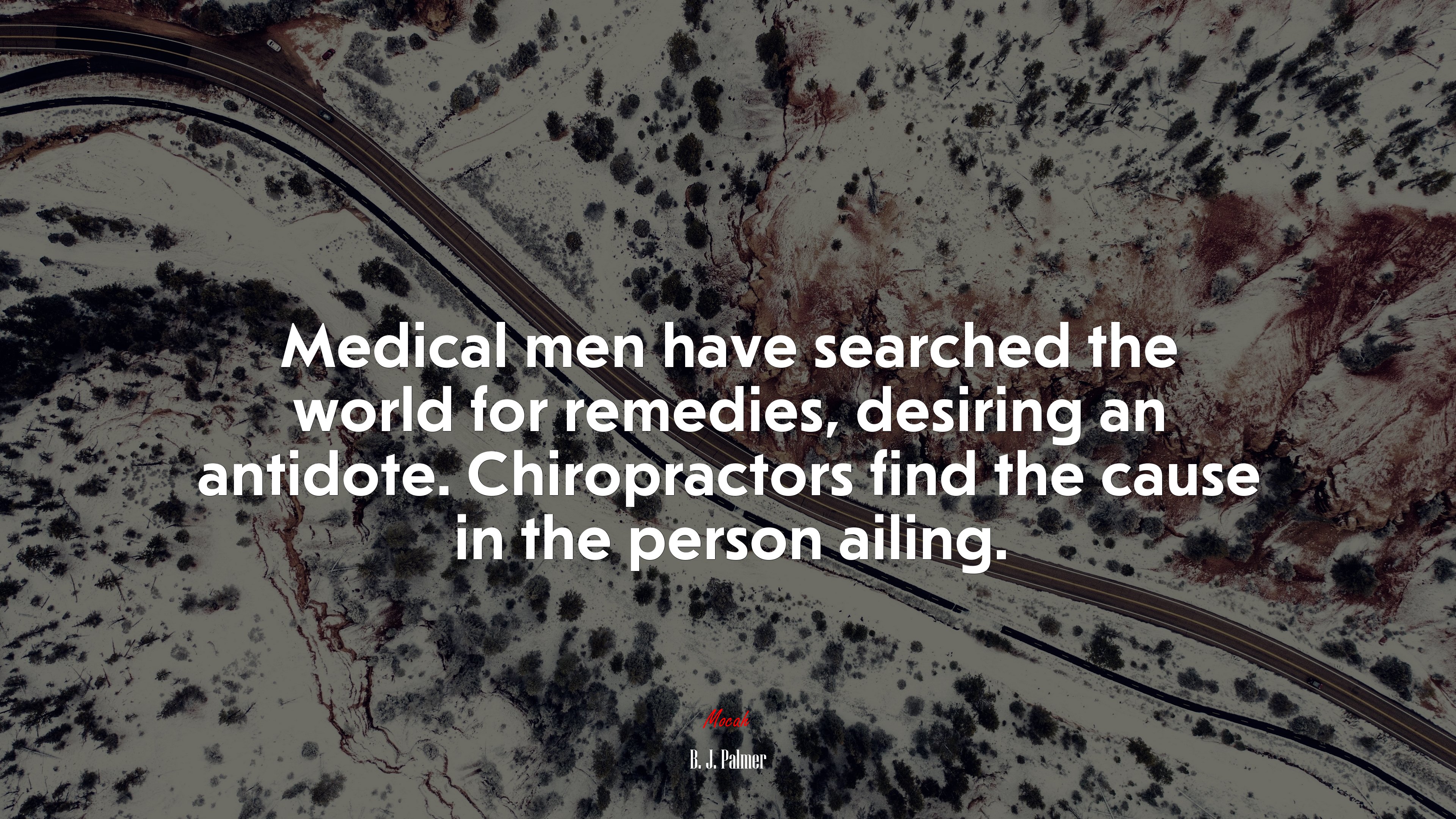 Medical men have searched the world for remedies, desiring an antidote. Chiropractors find the cause in the person ailing. | B. J. Palmer quote HD Wallpaper