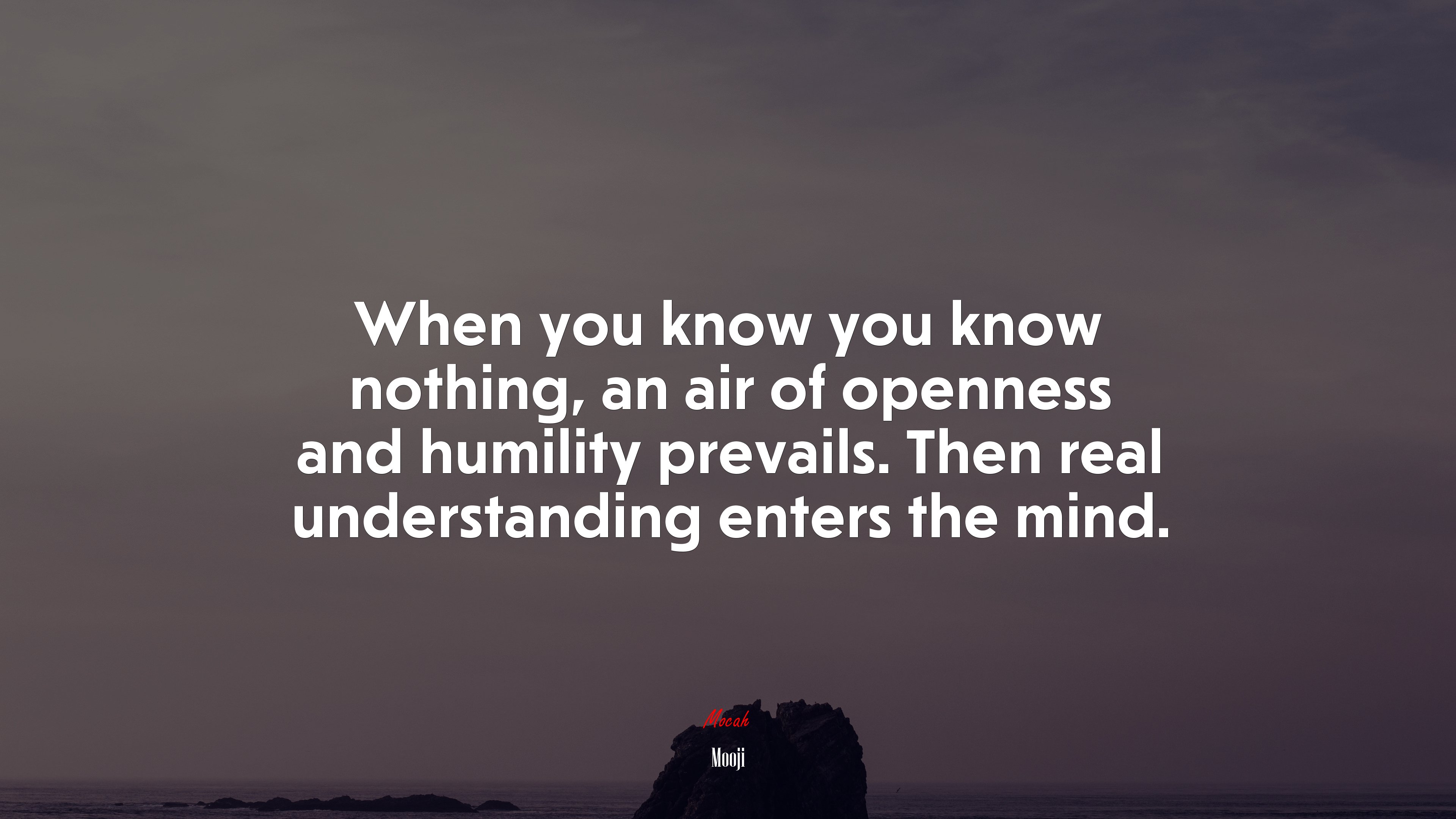 When you know you know nothing, an air of openness and humility prevails. Then real understanding enters the mind. | Mooji quote HD Wallpaper