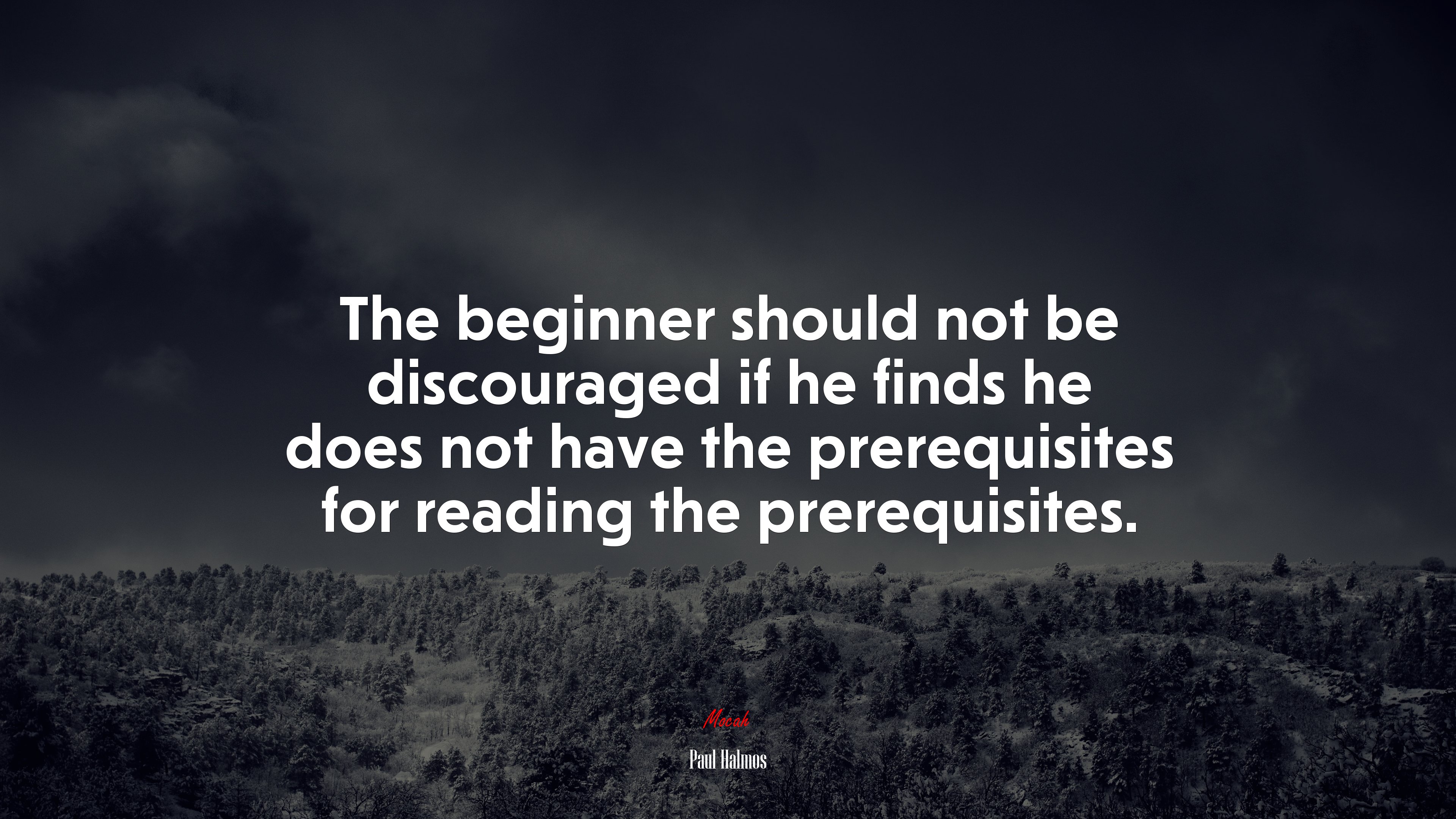 The beginner should not be discouraged if he finds he does not have the prerequisites for reading the prerequisites. | Paul Halmos quote HD Wallpaper