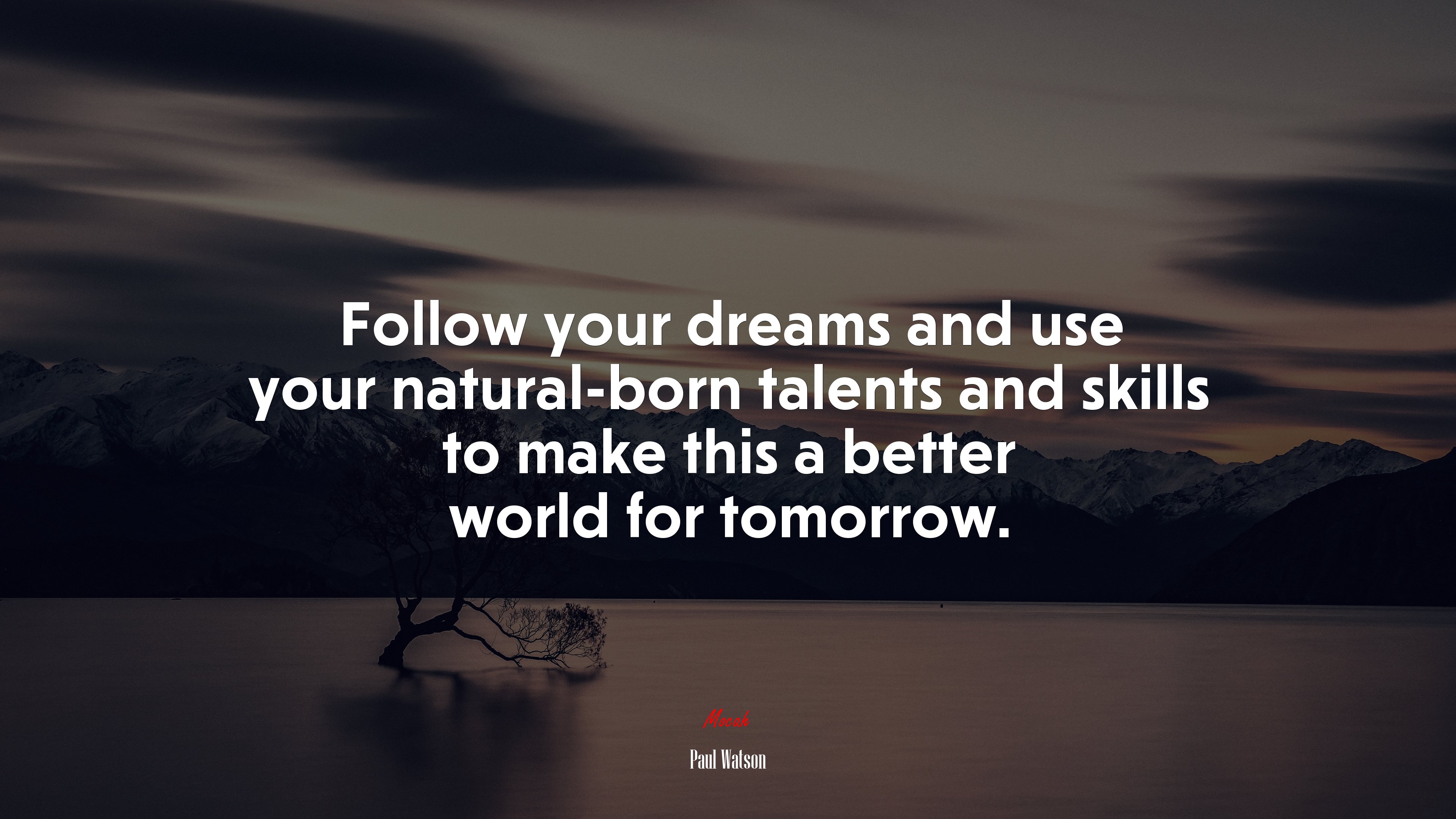 Follow your dreams and use your natural-born talents and skills to make this a better world for tomorrow. | Paul Watson quote HD Wallpaper