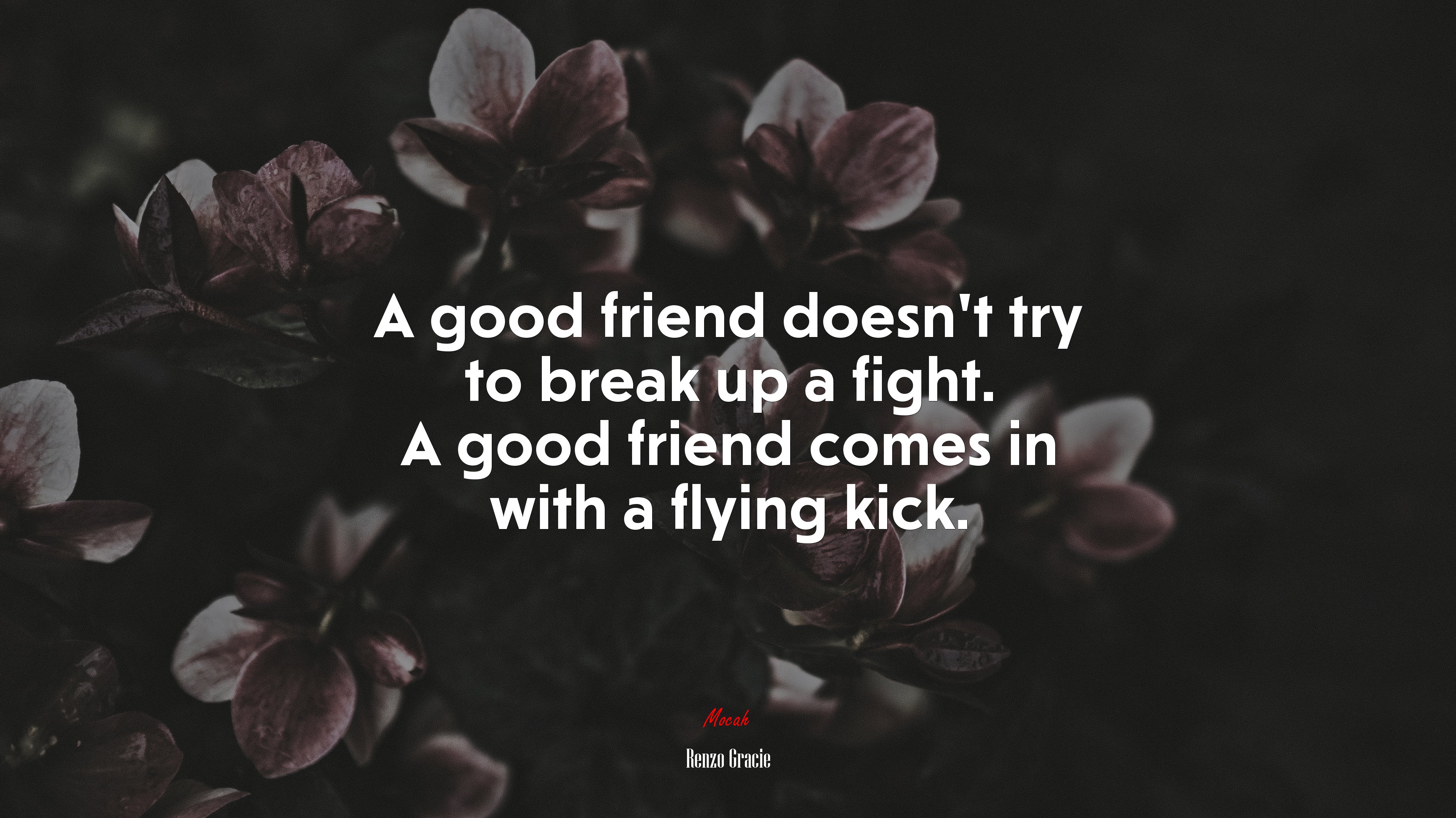 A good friend doesn’t try to break up a fight. A good friend comes in with a flying kick. | Renzo Gracie quote HD Wallpaper