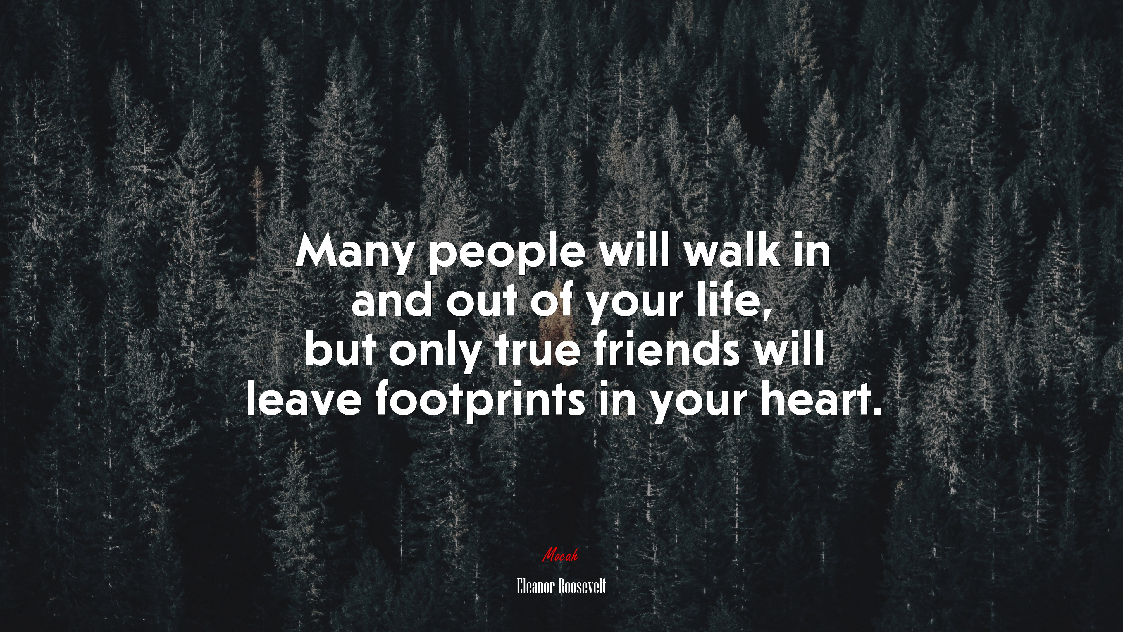 Many people will walk in and out of your life, but only true friends will leave footprints in your heart. | Eleanor Roosevelt quote HD Wallpaper
