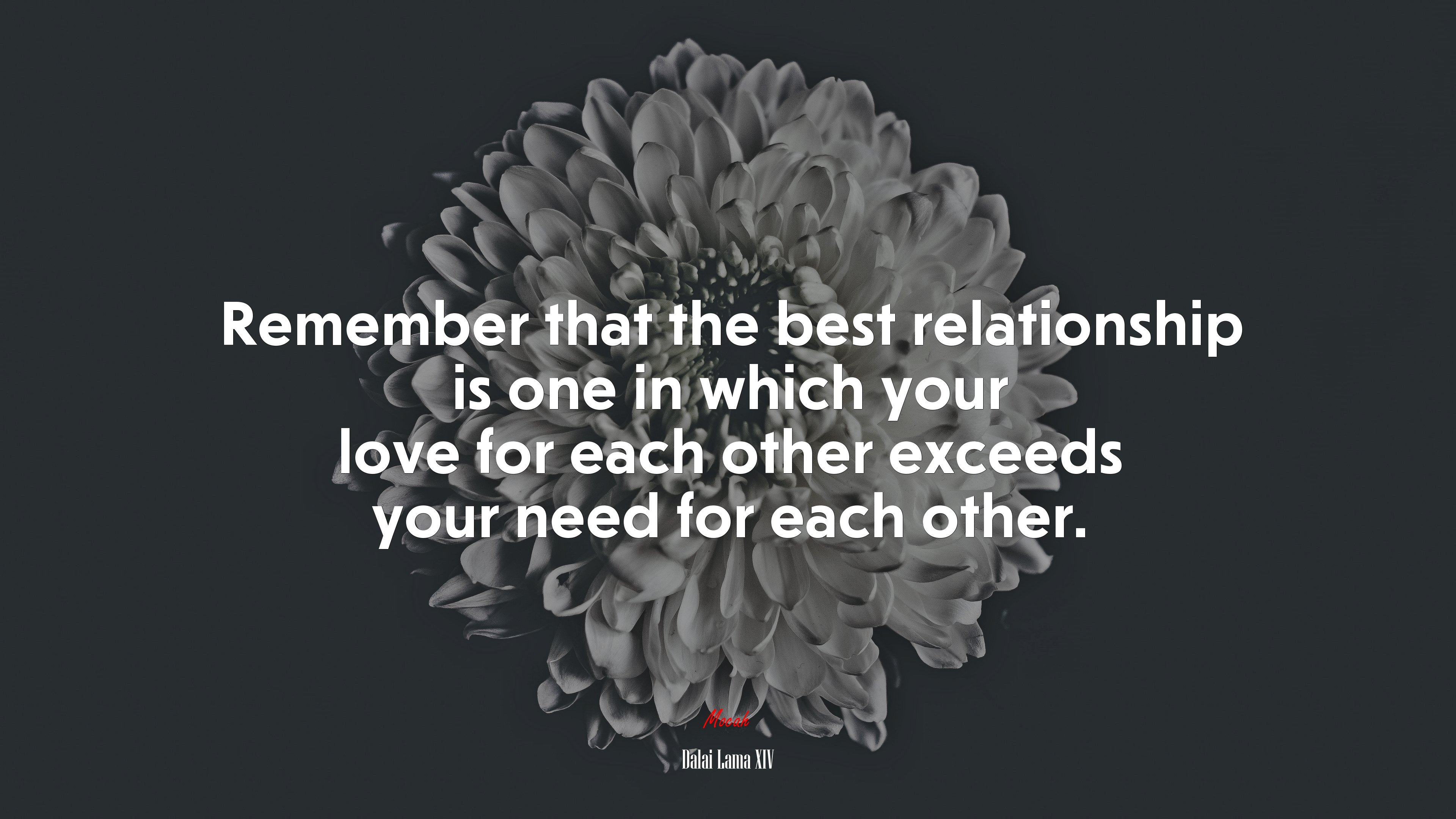 Remember that the best relationship is one in which your love for each other exceeds your need for each other. | Dalai Lama XIV quote HD Wallpaper