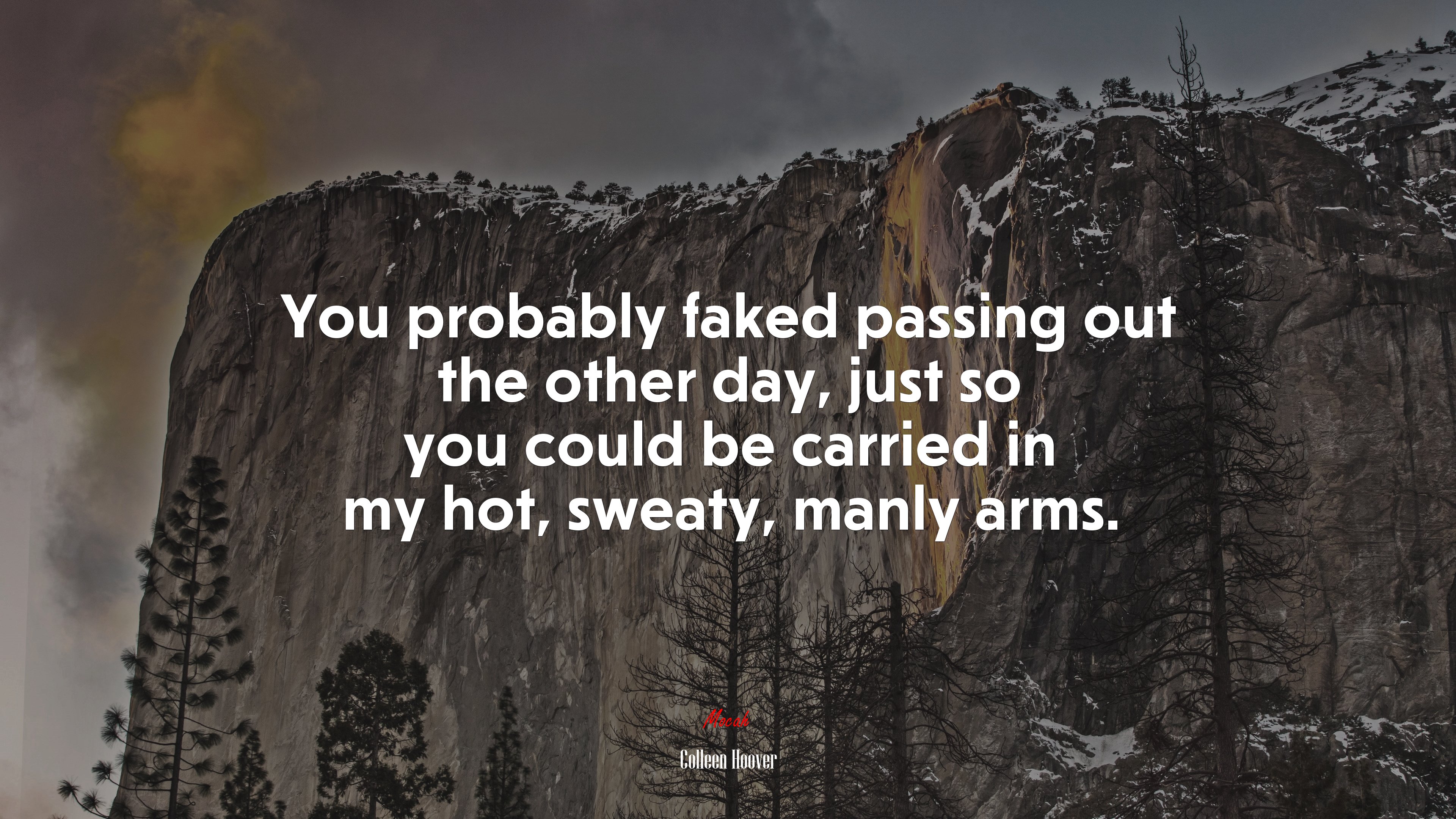You probably faked passing out the other day, just so you could be carried in my hot, sweaty, manly arms. | Colleen Hoover quote HD Wallpaper