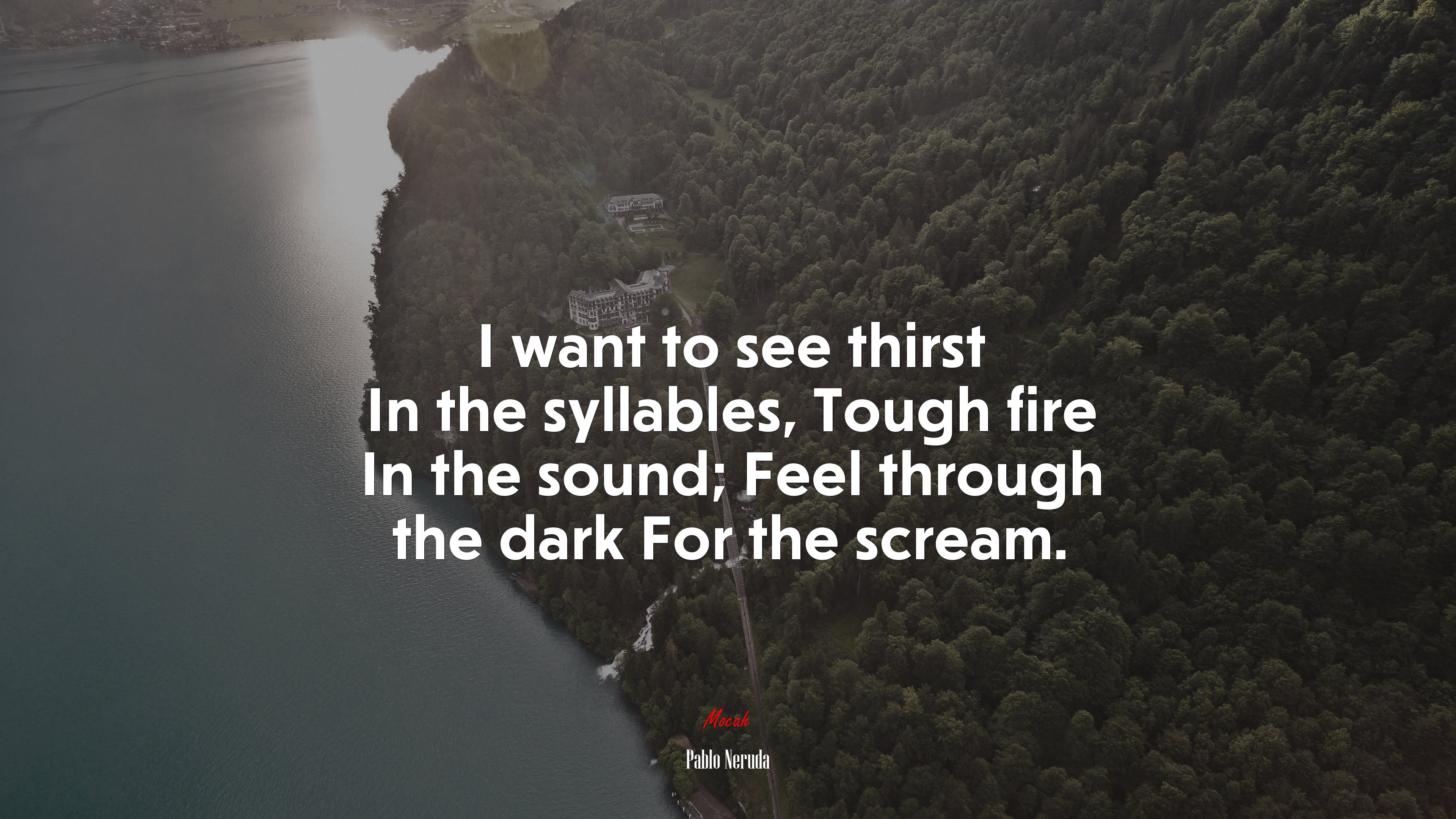 I want to see thirst In the syllables, Tough fire In the sound; Feel through the dark For the scream. | Pablo Neruda quote HD Wallpaper