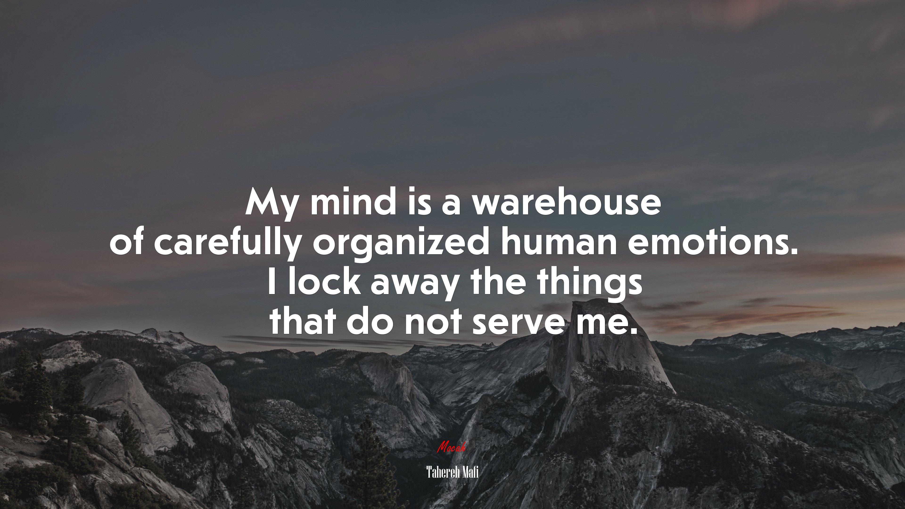 My mind is a warehouse of carefully organized human emotions. I lock away the things that do not serve me. | Tahereh Mafi quote HD Wallpaper