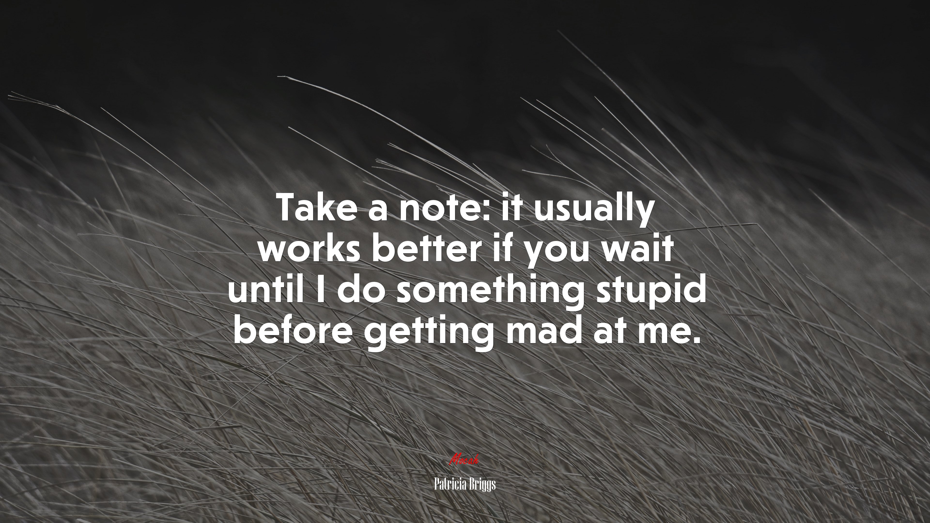 Take a note: it usually works better if you wait until I do something stupid before getting mad at me. | Patricia Briggs quote HD Wallpaper