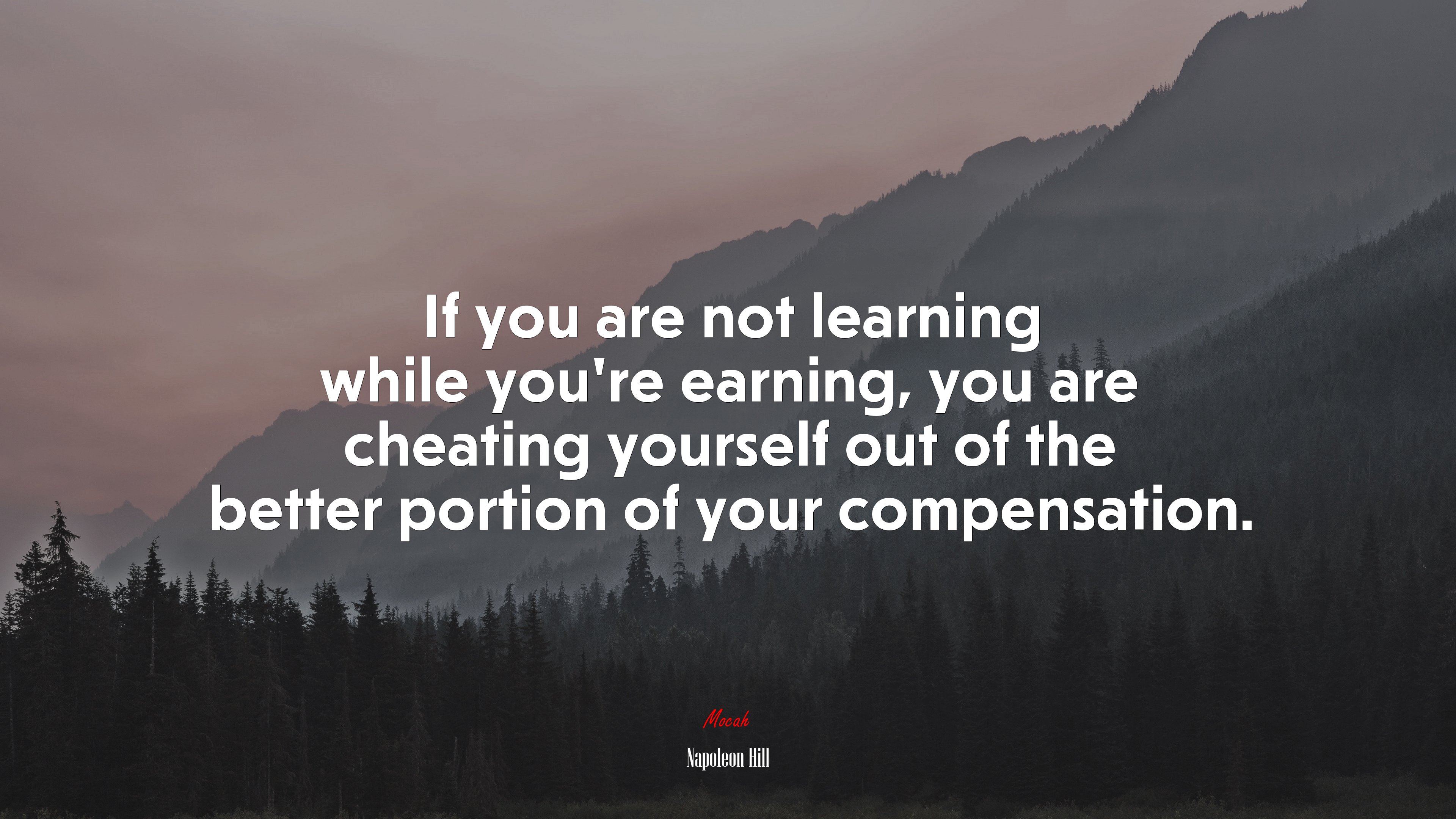 If you are not learning while youre earning, you are cheating yourself out of the better portion of your compensation. | Napoleon Hill quote HD Wallpaper