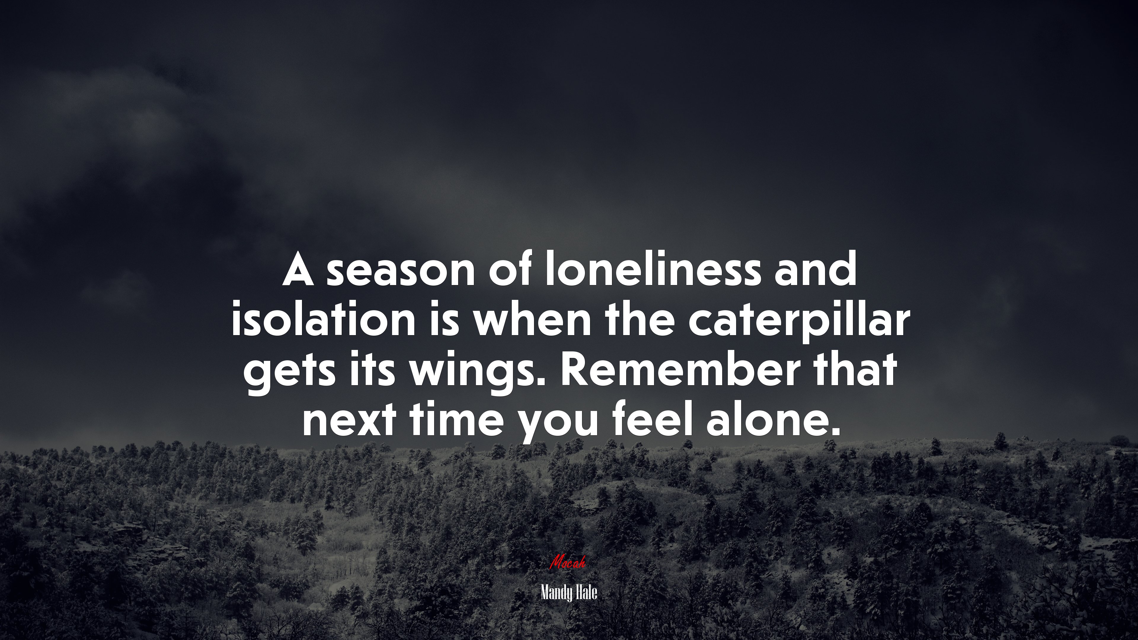 A season of loneliness and isolation is when the caterpillar gets its wings. Remember that next time you feel alone. | Mandy Hale quote HD Wallpaper