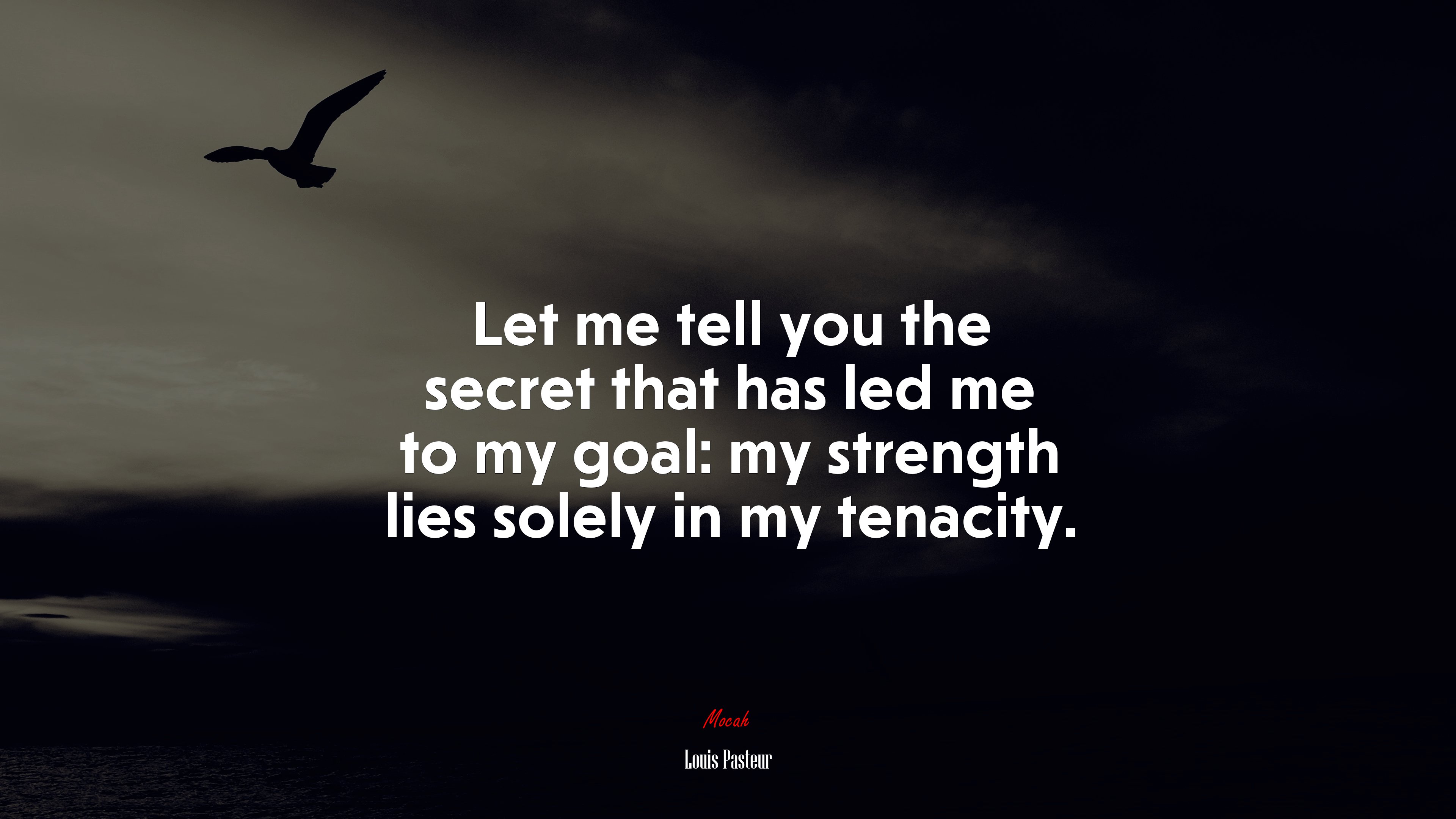 Let me tell you the secret that has led me to my goal: my strength lies solely in my tenacity. | Louis Pasteur quote HD Wallpaper