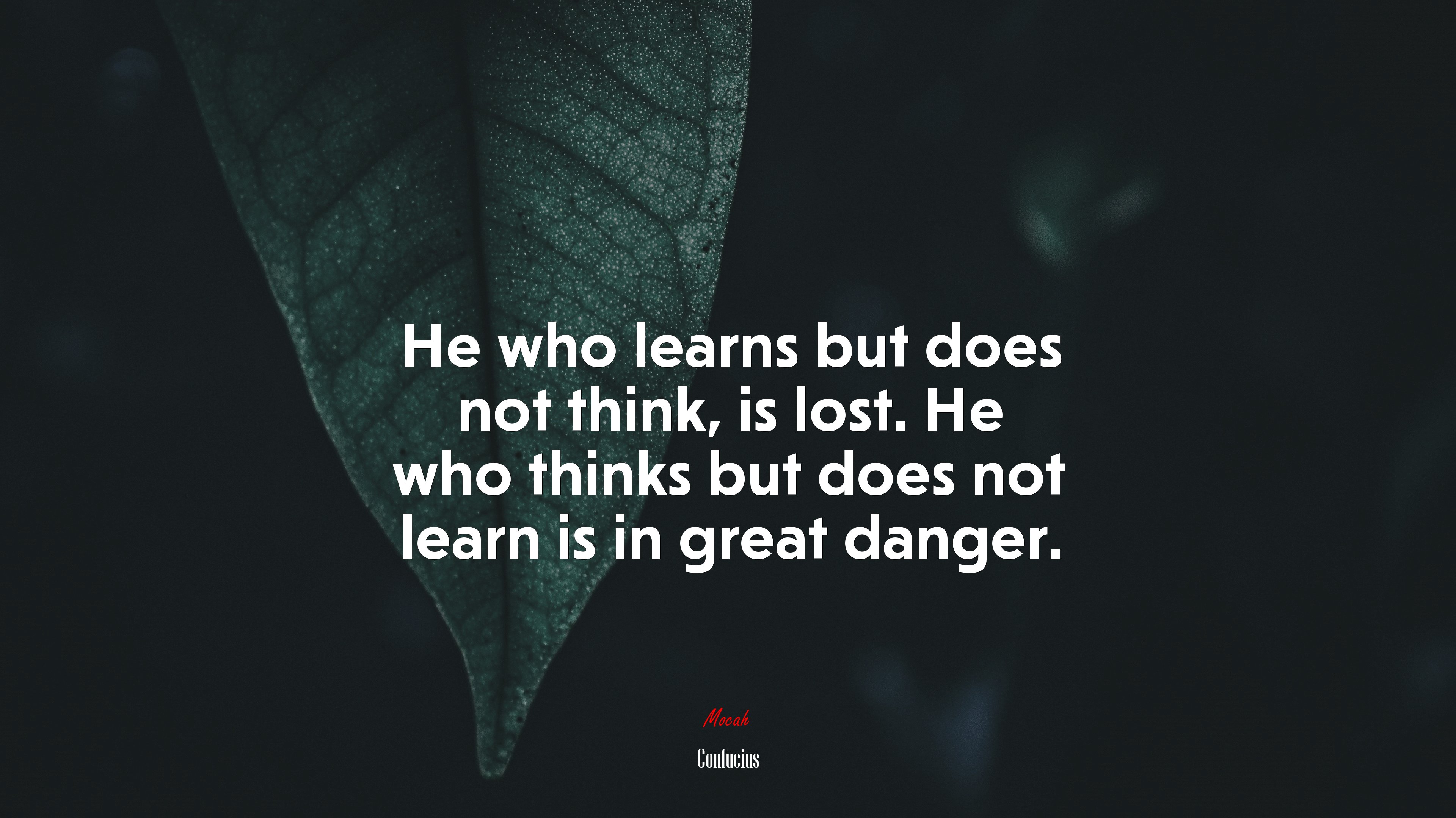 He who learns but does not think, is lost. He who thinks but does not learn is in great danger. | Confucius quote HD Wallpaper