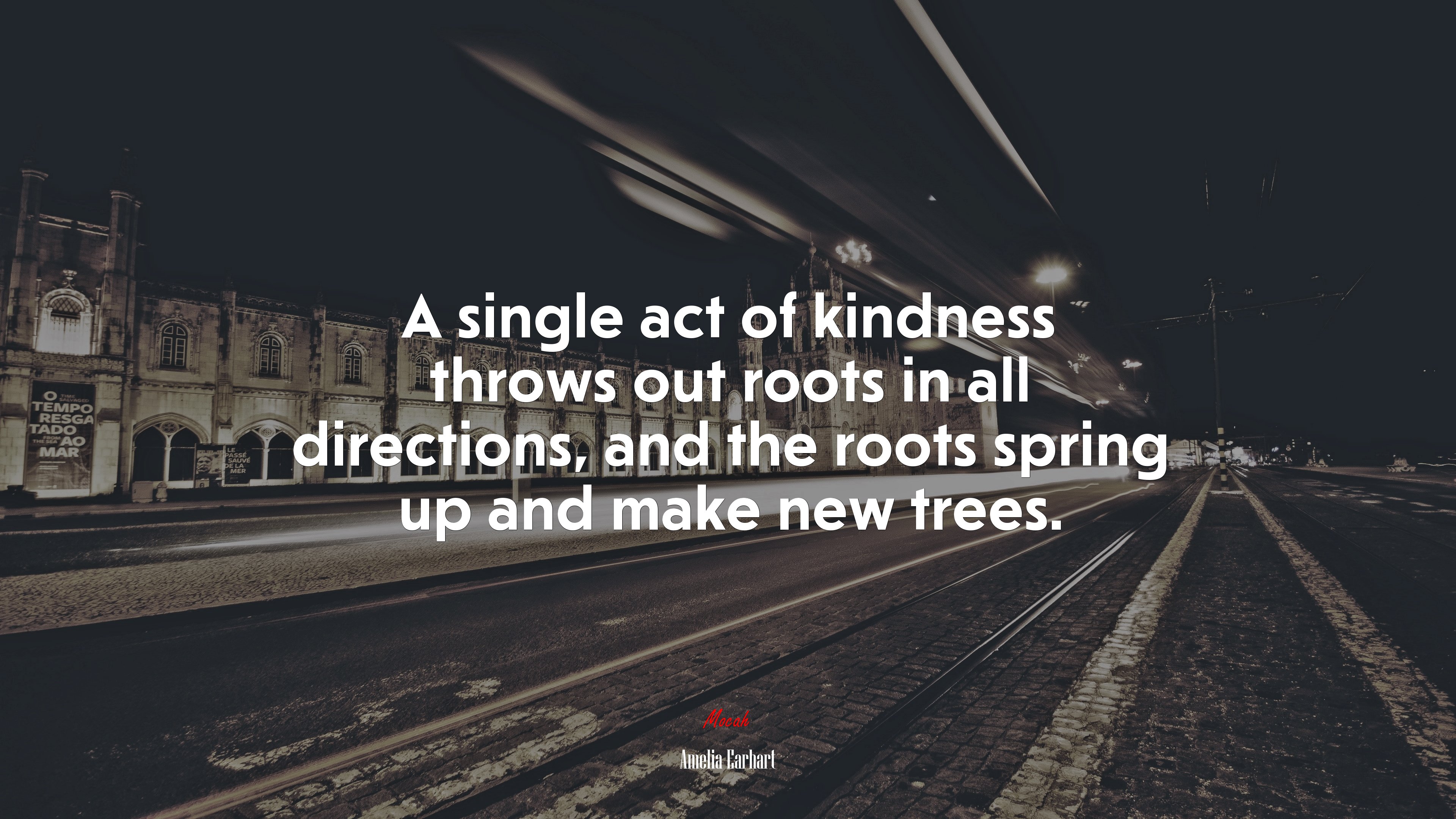 A single act of kindness throws out roots in all directions, and the roots spring up and make new trees. | Amelia Earhart quote HD Wallpaper