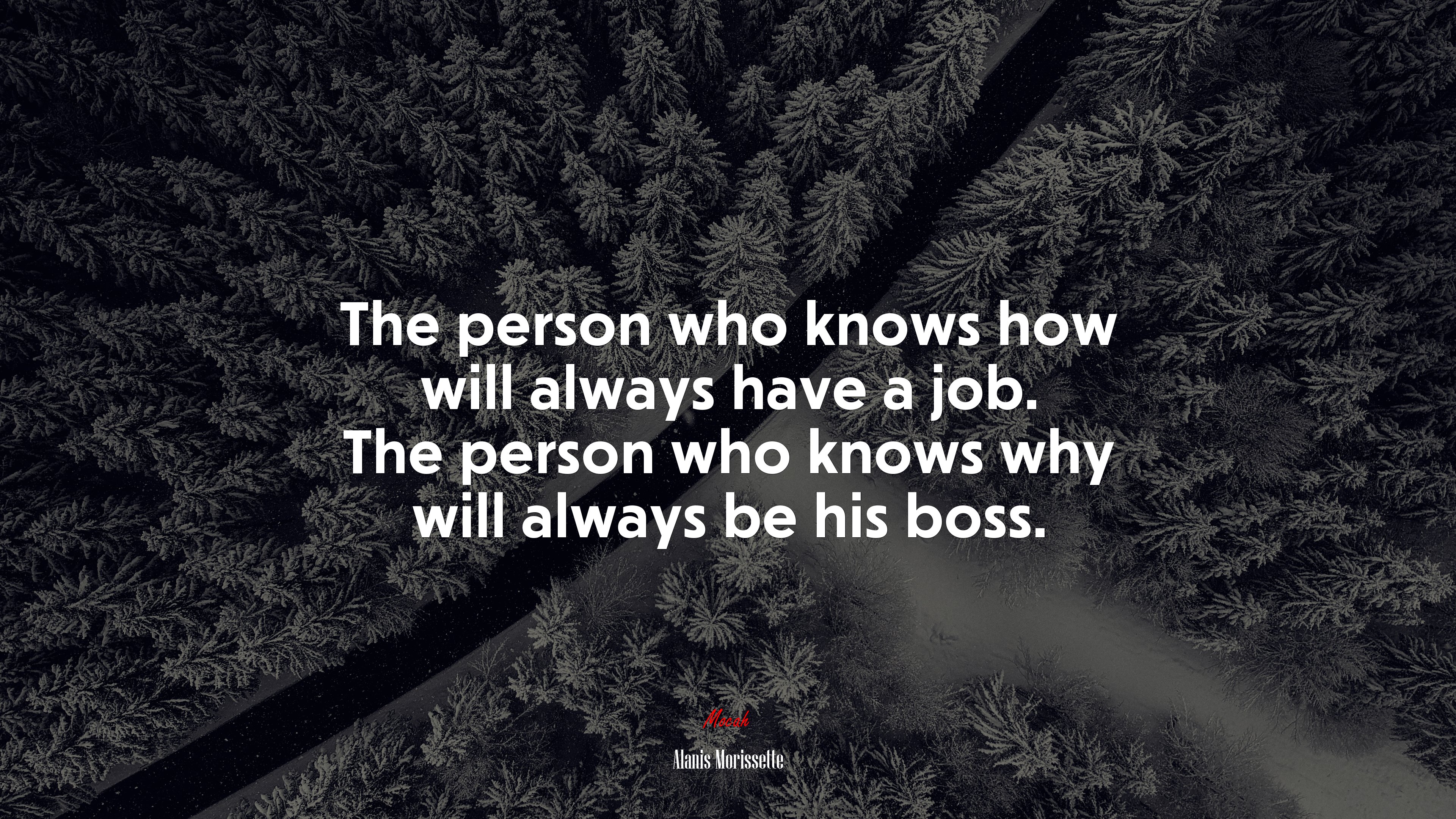 The person who knows how will always have a job. The person who knows why will always be his boss. | Alanis Morissette quote HD Wallpaper