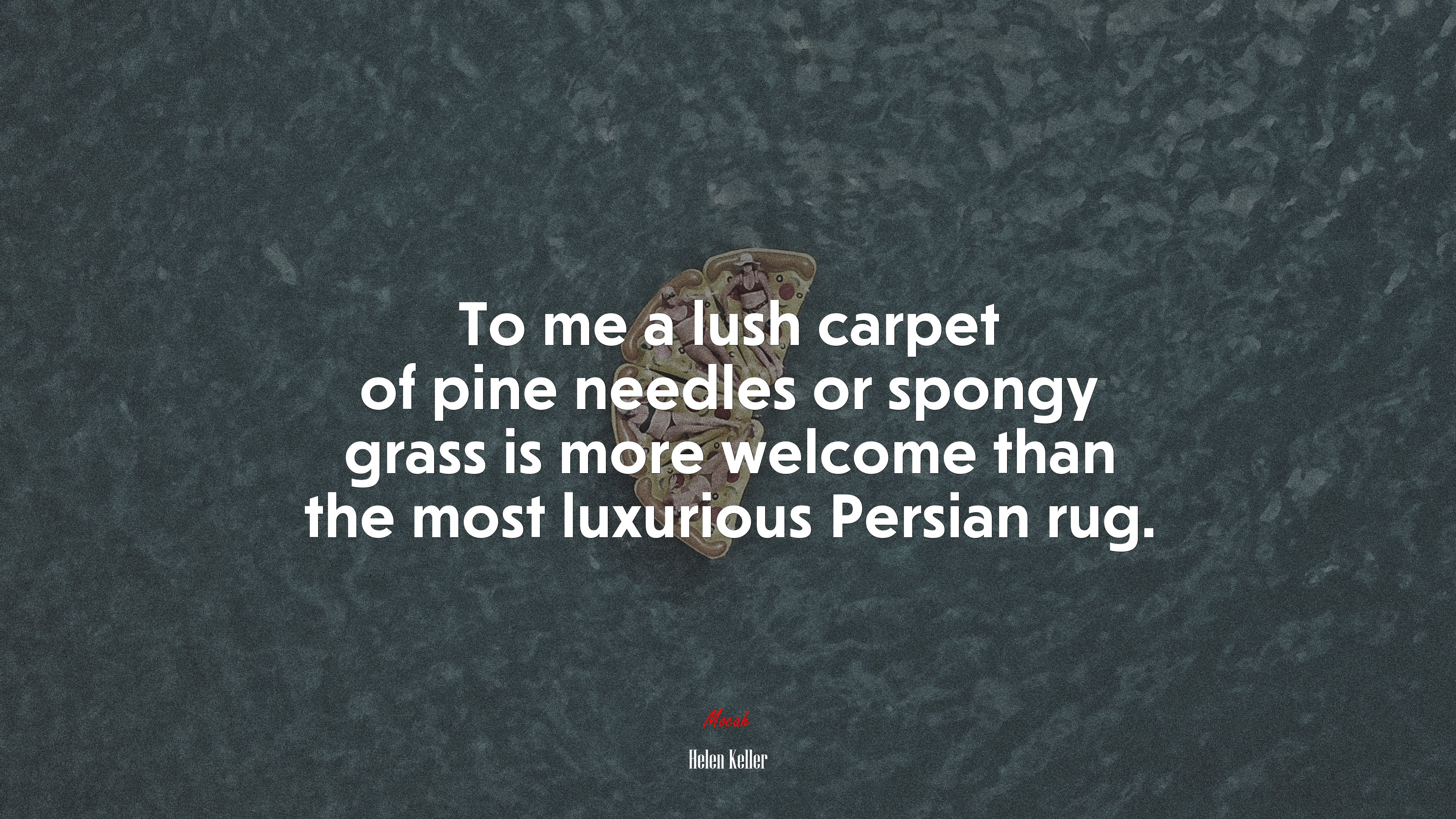 To me a lush carpet of pine needles or spongy grass is more welcome than the most luxurious Persian rug. | Helen Keller quote HD Wallpaper
