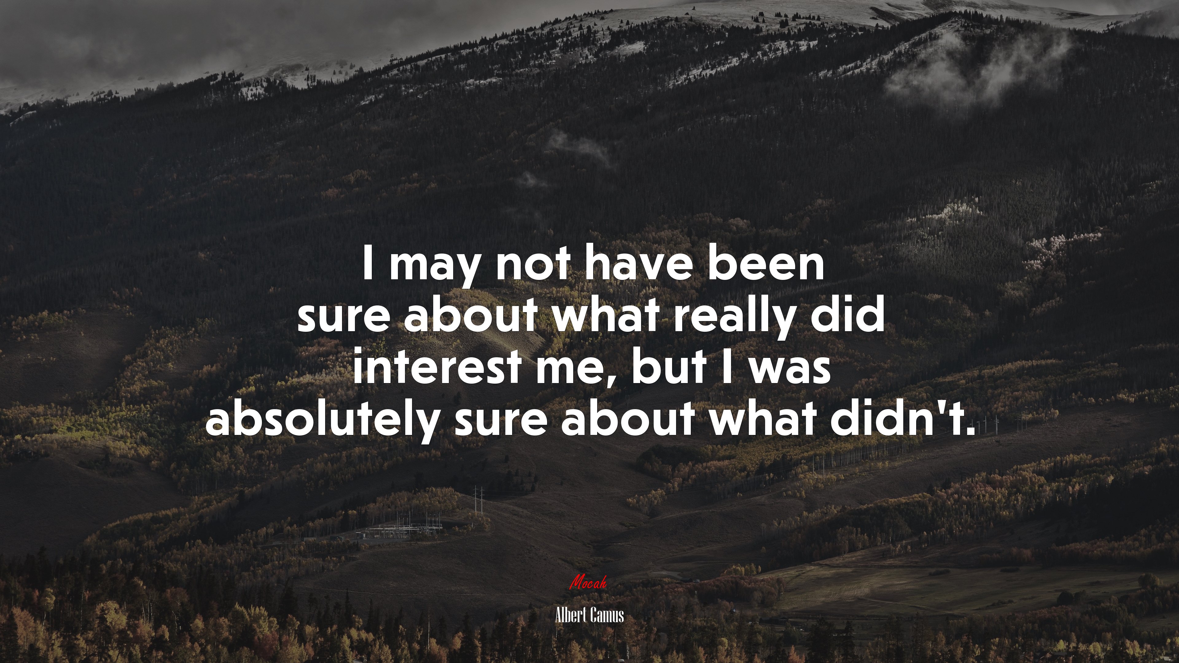 I may not have been sure about what really did interest me, but I was absolutely sure about what didn’t. | Albert Camus quote HD Wallpaper